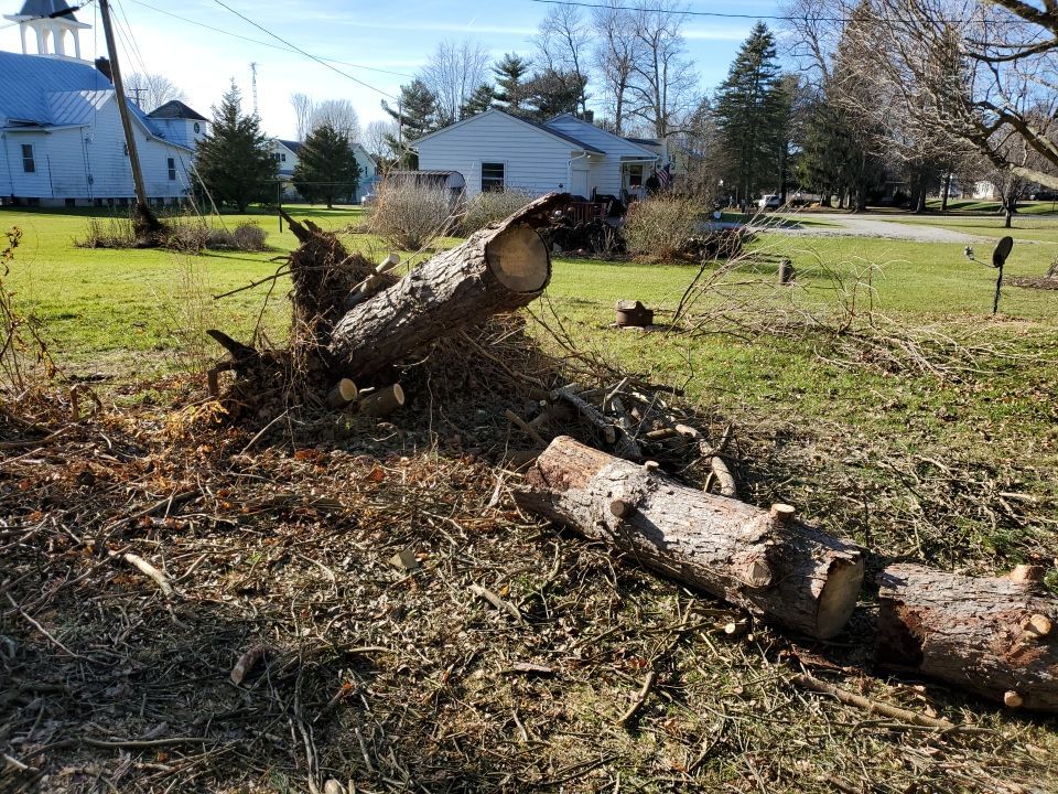 Storm Damaged Tree Removal  using Tree Removal by Mike Jones & Sons Tree Service LLC 