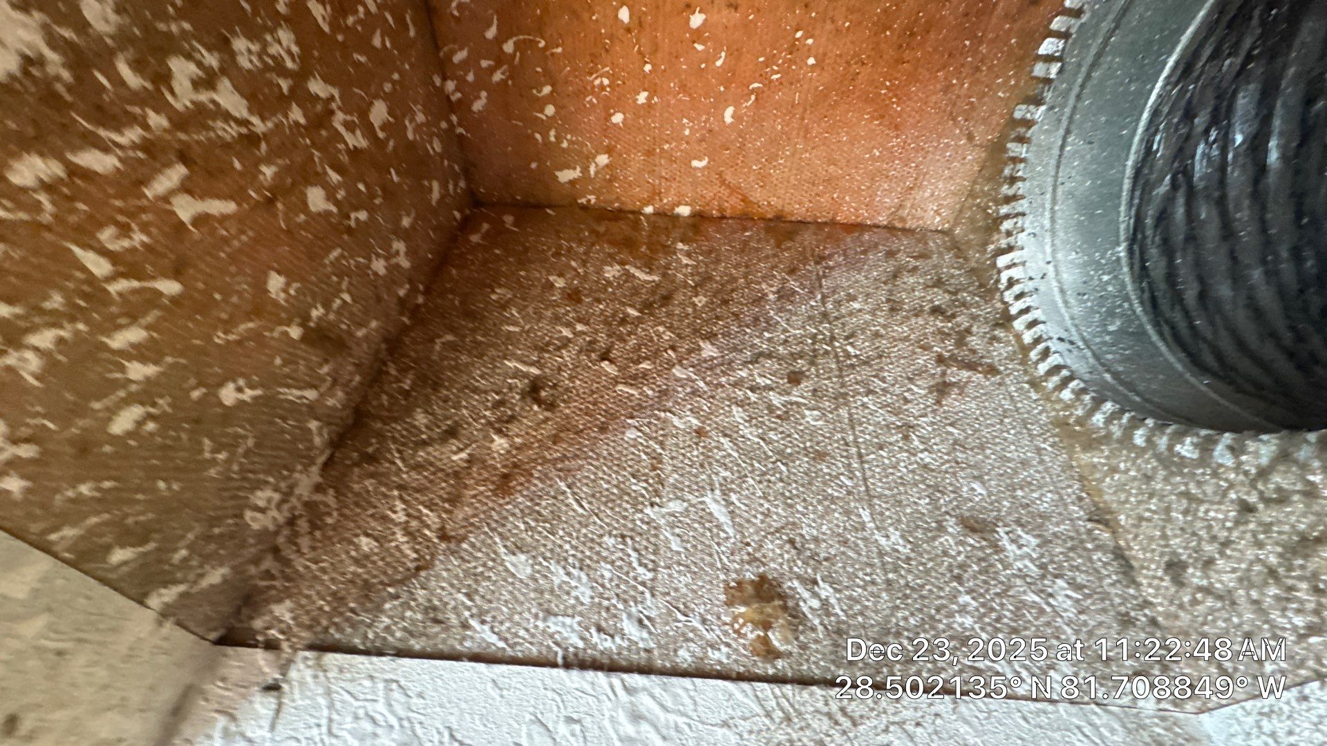 Air Duct Dryer Vent Cleaning Encapsulation Dryer Vent Repair in Clermont by Hygienic Air, Inc