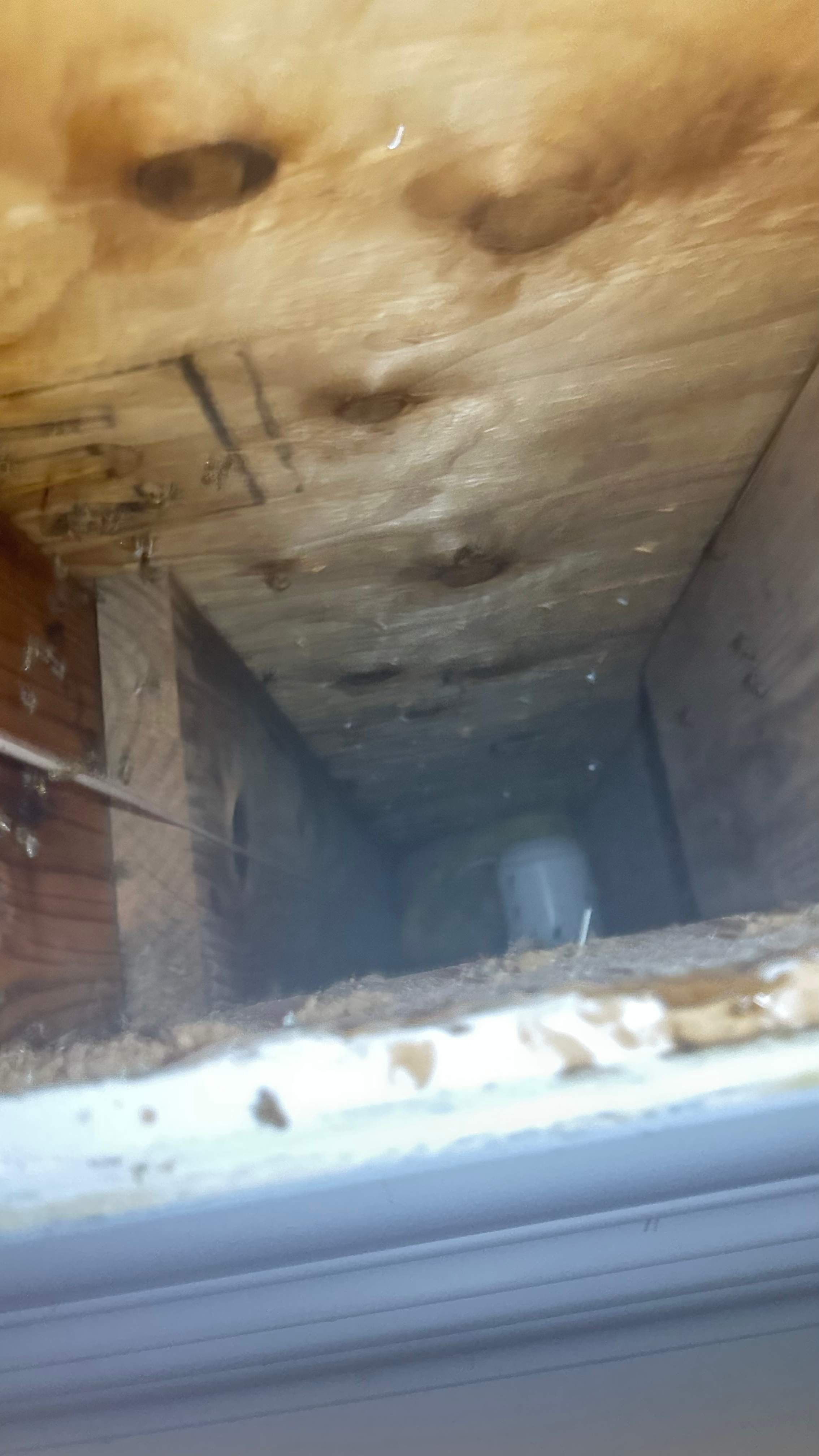 Interior Ceiling by Rockwall Honey Bee Company