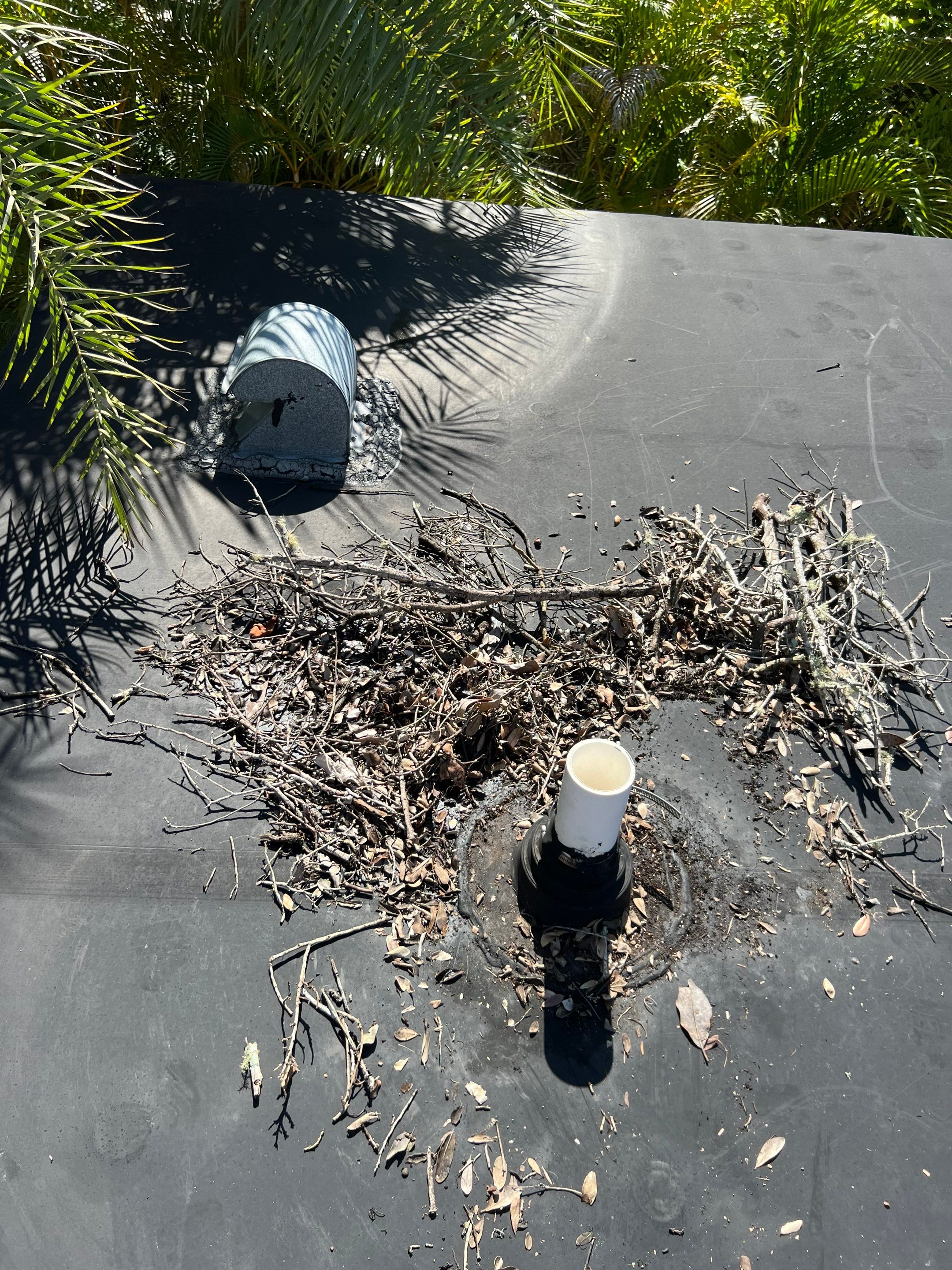 Flat Membrane Roof Repair and Interior Restoration in Fort Myers by cordova home services 