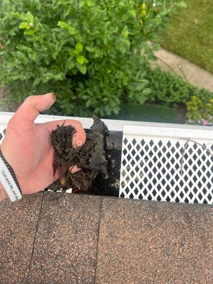 Turtle Shell gutter protection installation in Naperville, IL 60540, photograph 12