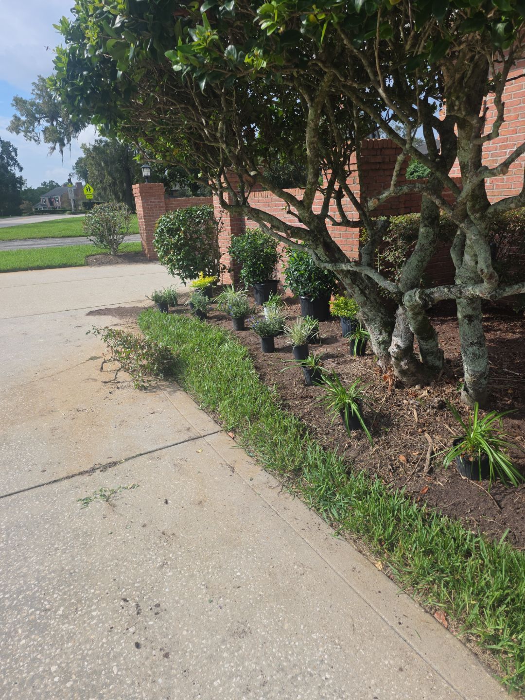 Deerwood Resident | Landscape Project by ProGreen Services
