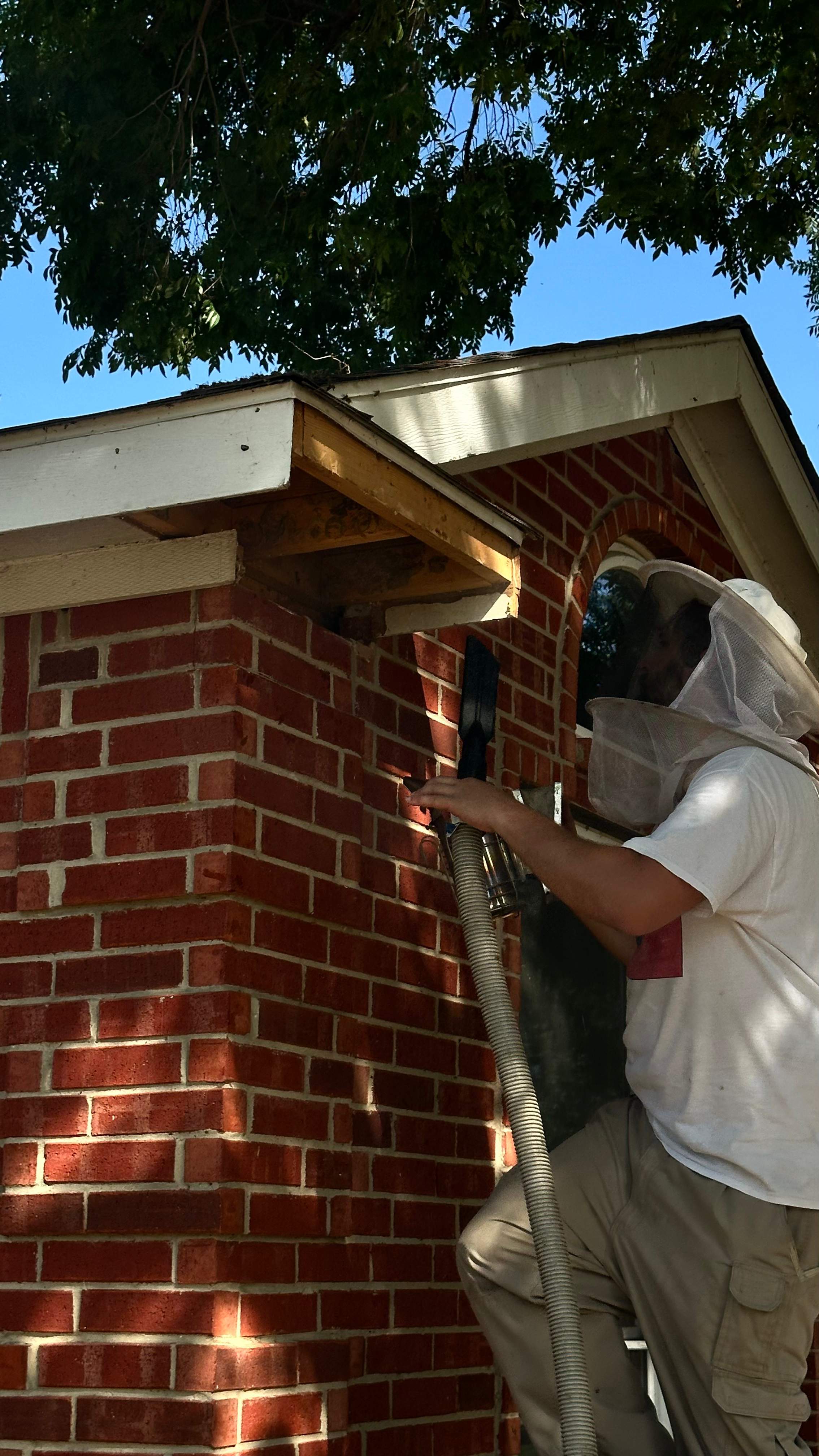 Soffits! by Rockwall Honey Bee Company