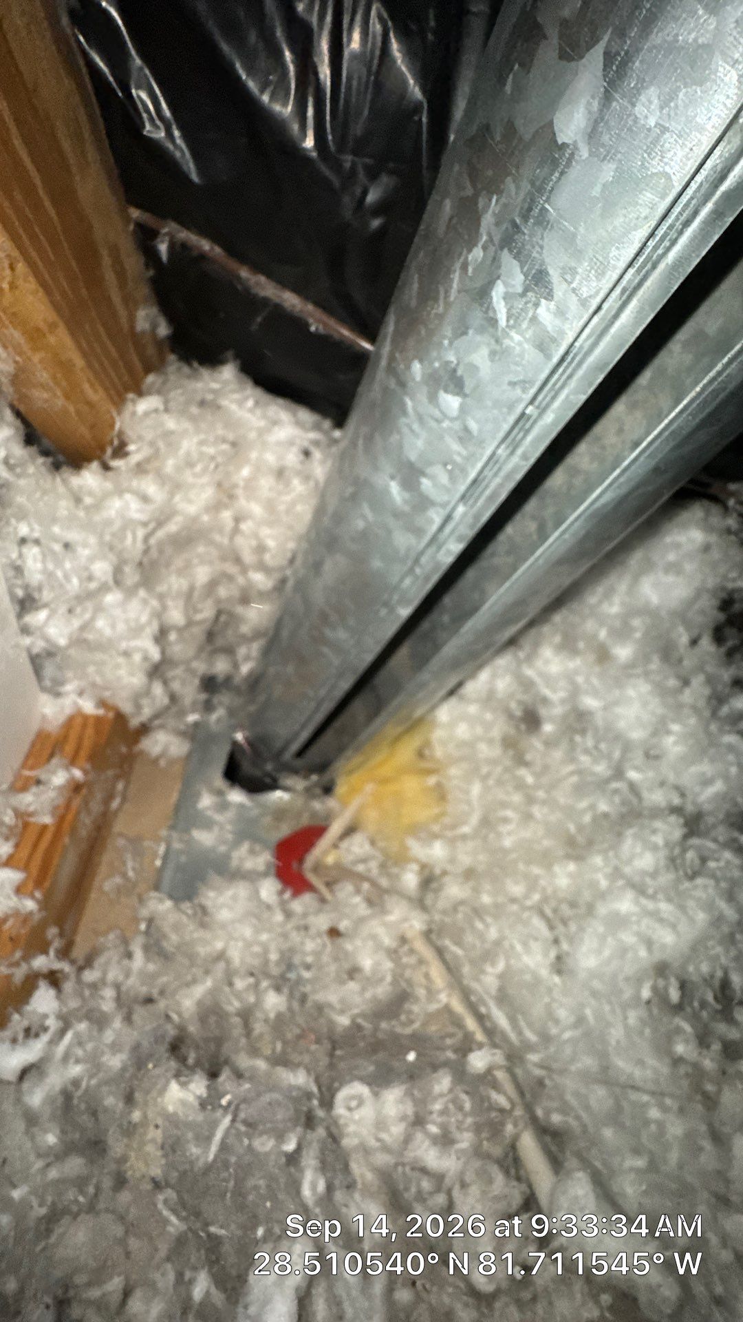 Air Duct Cleaning & Dryer Exhaust Follow-Up in Clermont by Hygienic Air, Inc