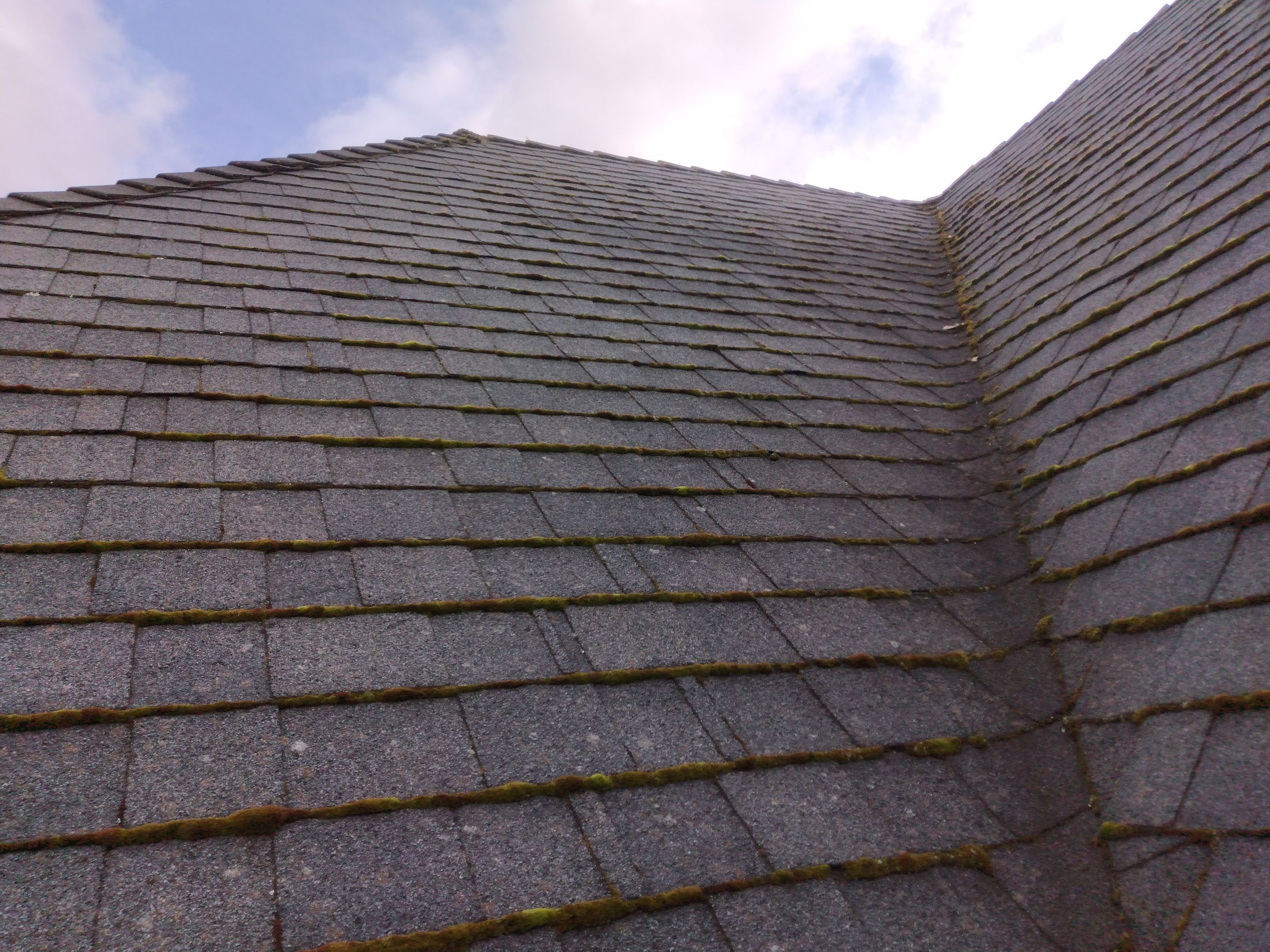 Roof Cleaning  using Moss Treatment  by BEST Roofing & Waterproofing
