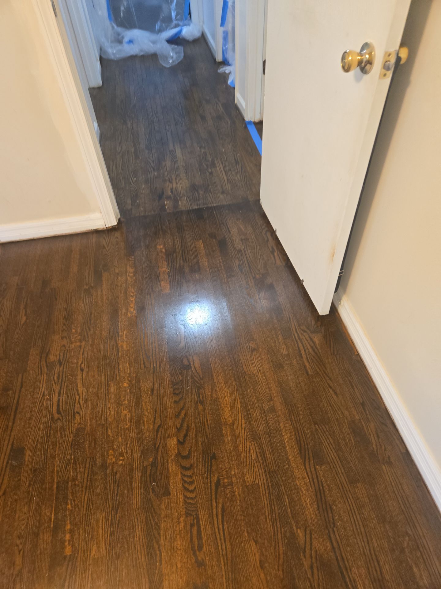 Under Carpet Reveal  by Footprints Floors of Nashville