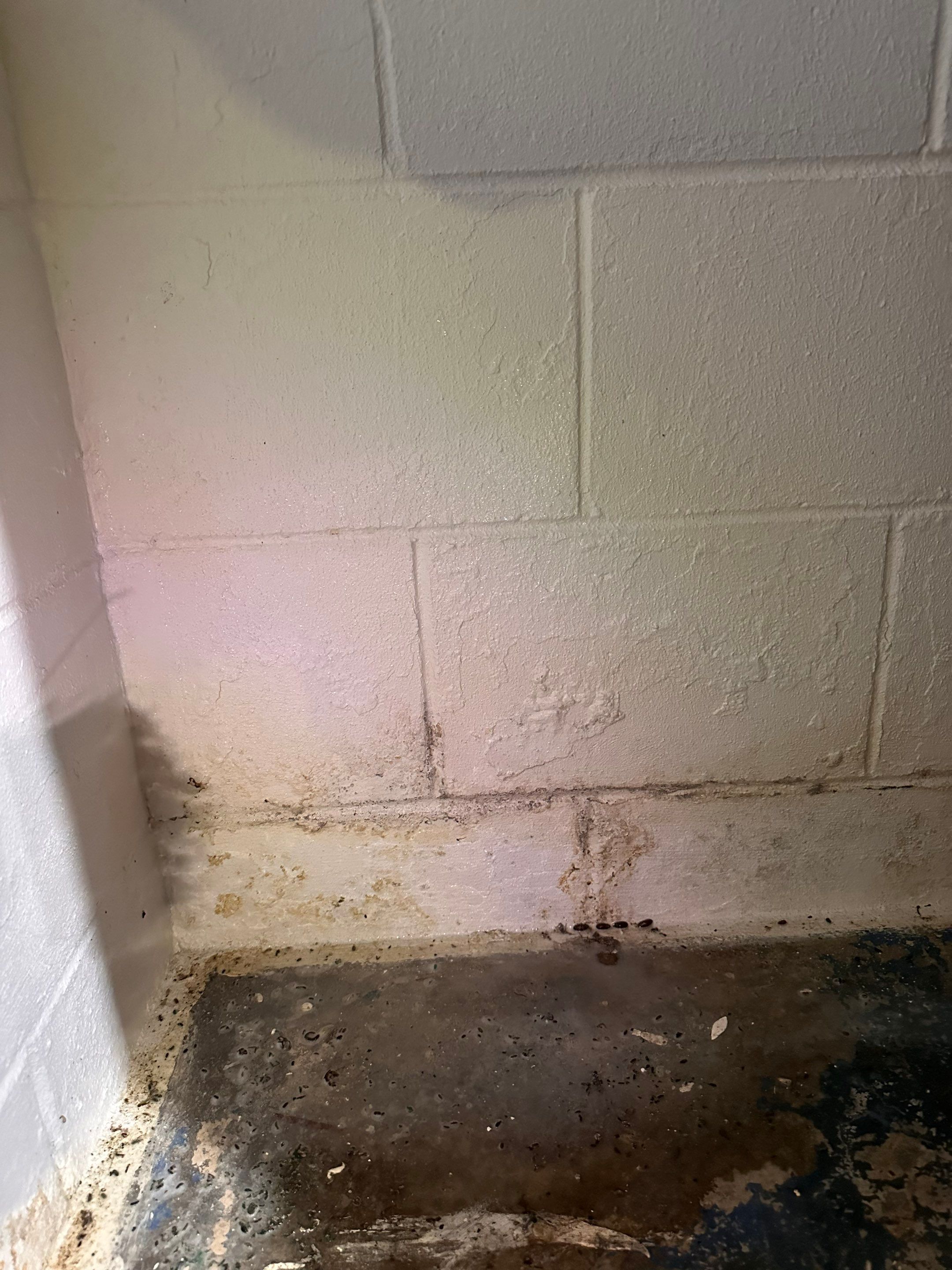 Port Byron Waterproofing/Vapor Barrier/Egress Windows by ACE Waterproofing & Basement Solutions