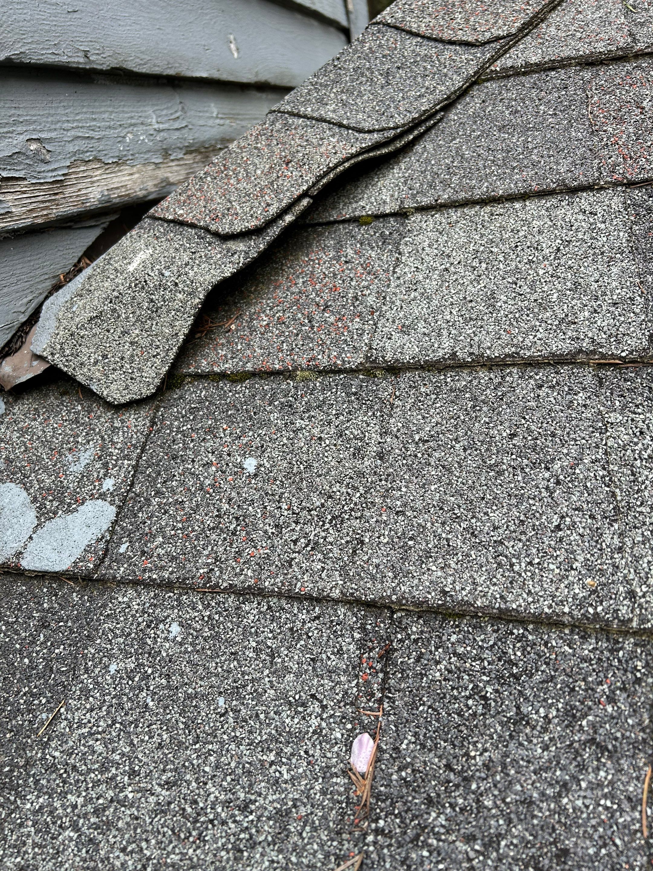 Project in Redmond by Peaks and Valleys Construction