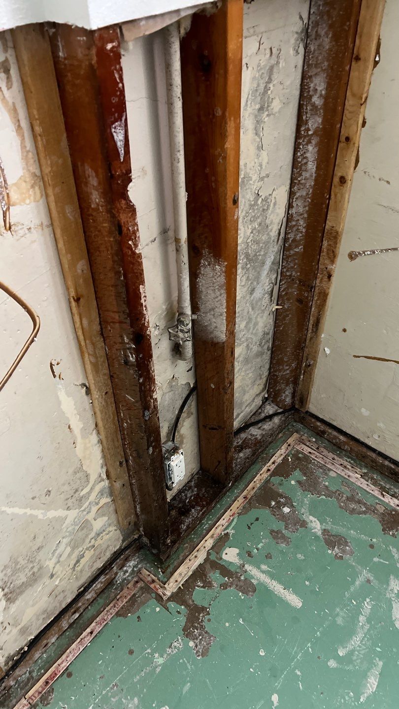 Mold Remediation by Accountable Home Services