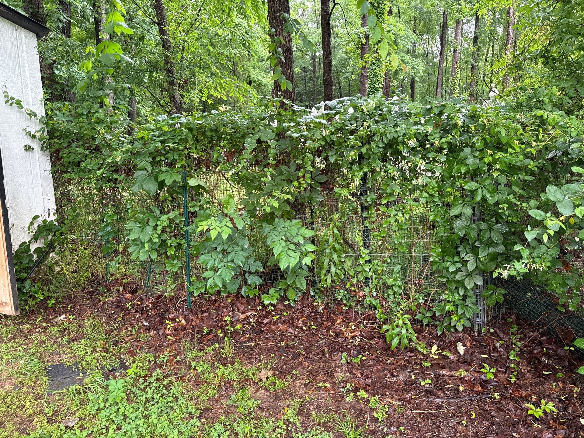 Project in Mint Hill by Badger Hauling