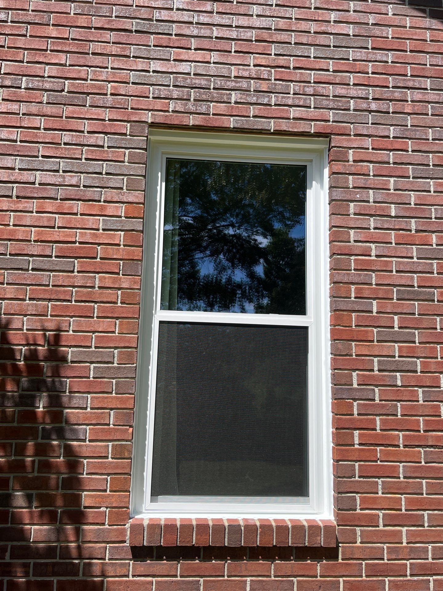 Jackson Project in Bessemer by The Window Source