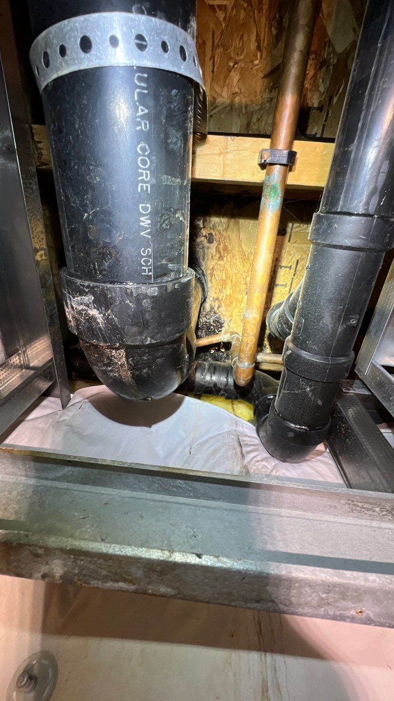 Mold Remediation by Accountable Home Services