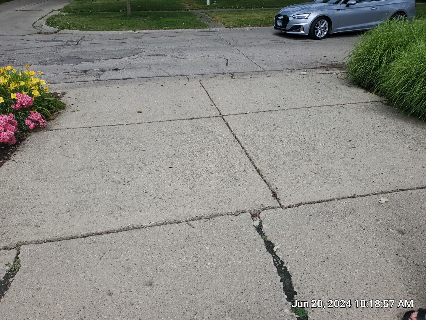 concrete cleaning using Algaecide, soft wash soap by Northern Power Washing LLC.
