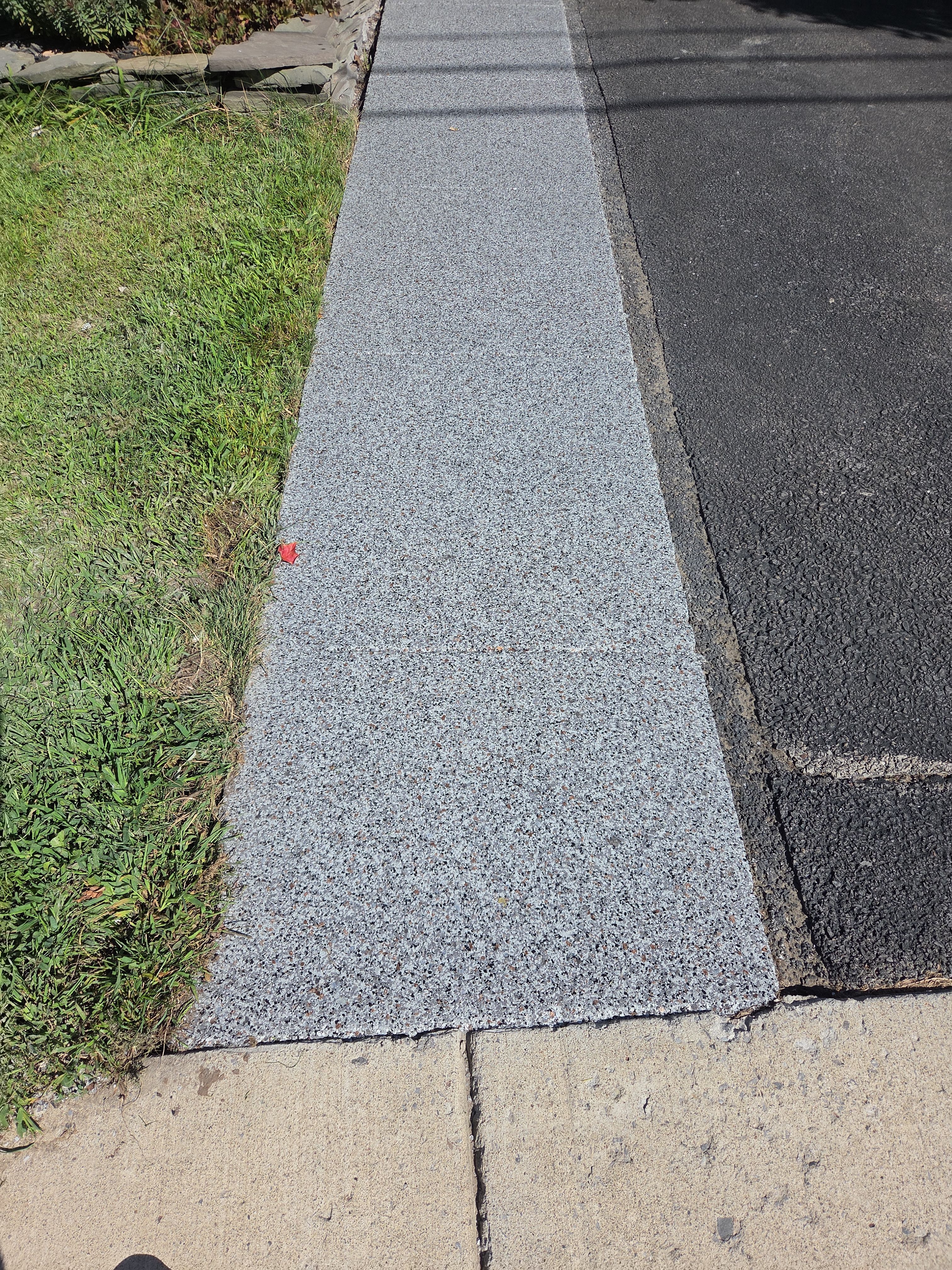 Earth Effects Stardust Sidewalk Coating by NG Masonry & Construction LLC