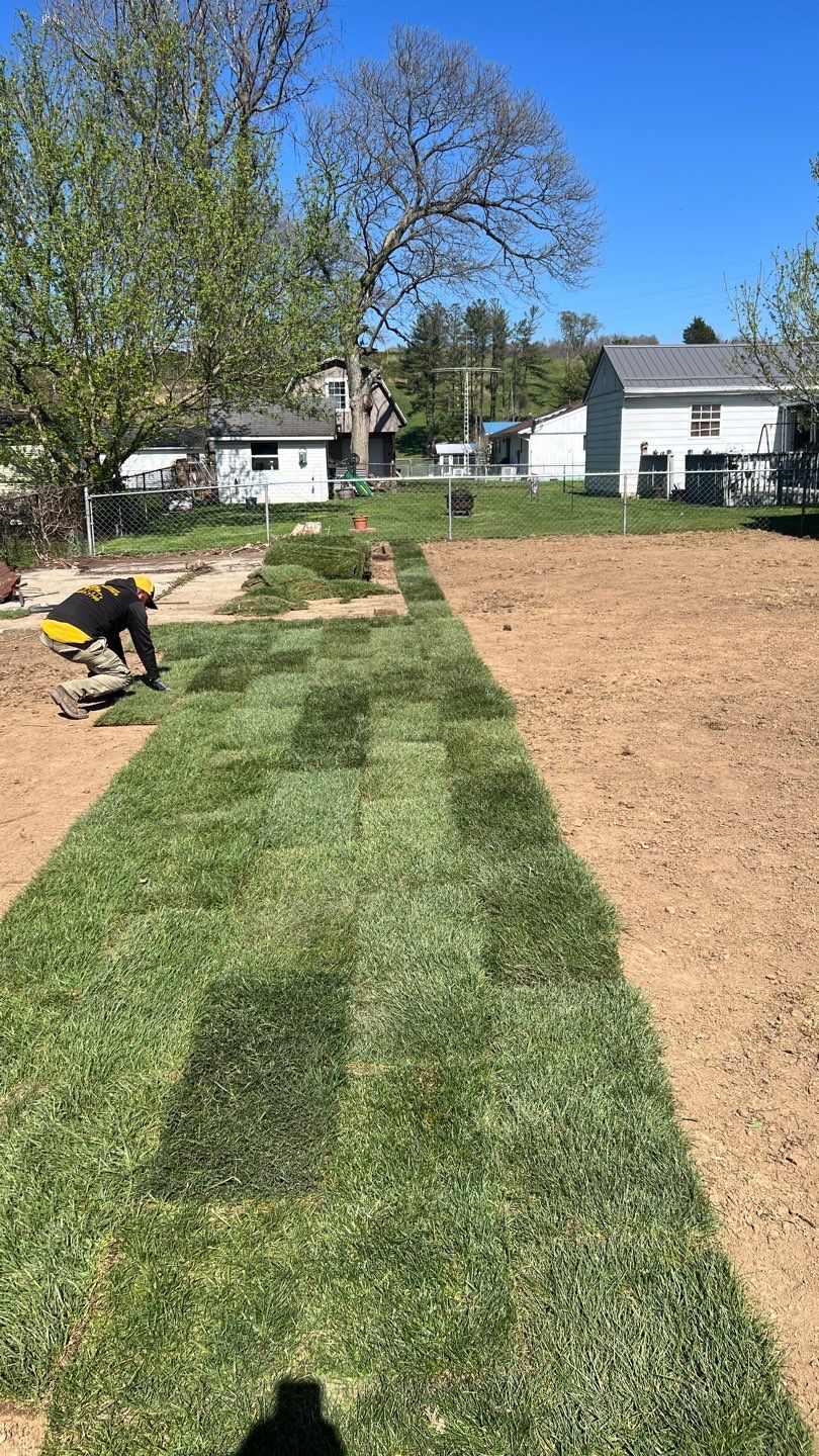 Sod Installation using Fescue Sod by GrassBusters, Inc.