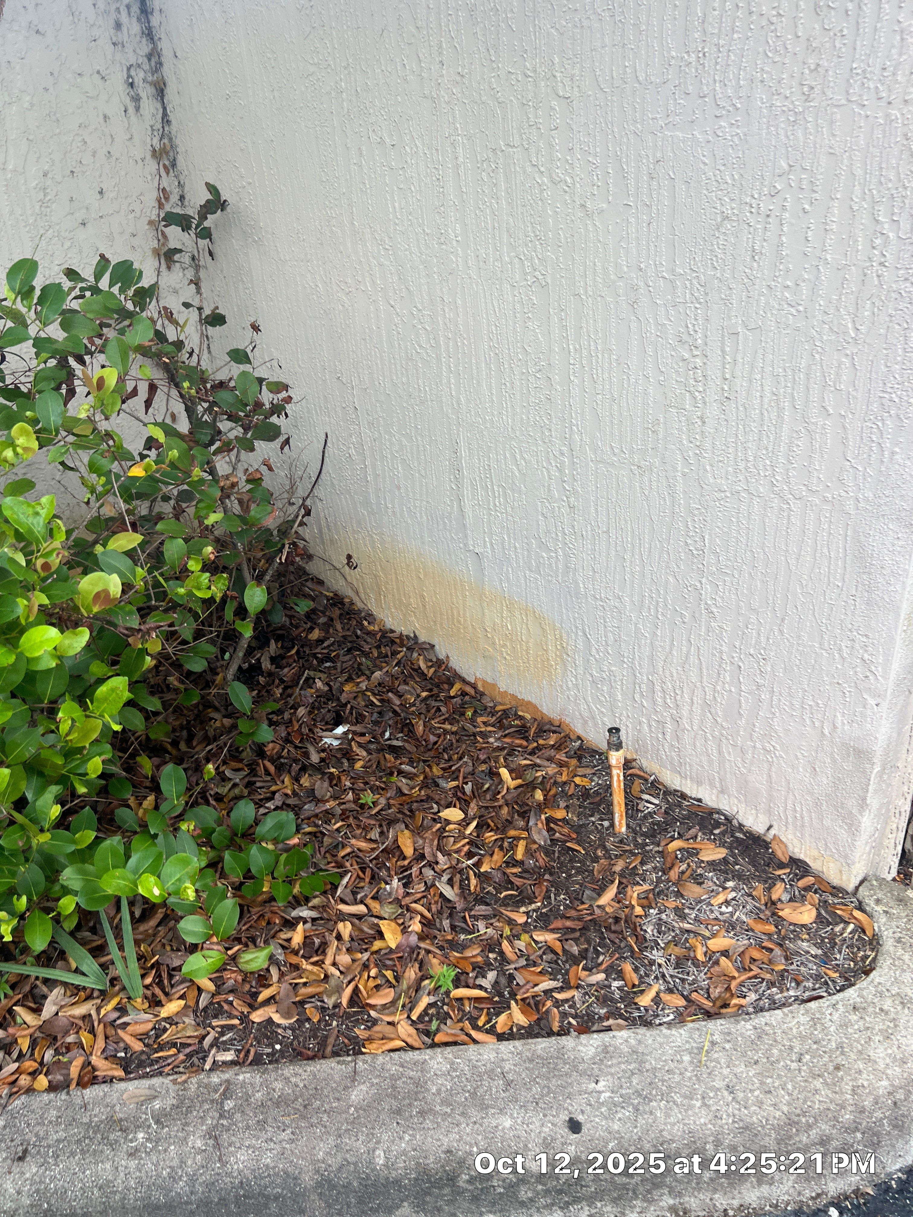 Pressure Washing Commercial Parkland by BKB Pressure Cleaning LLC