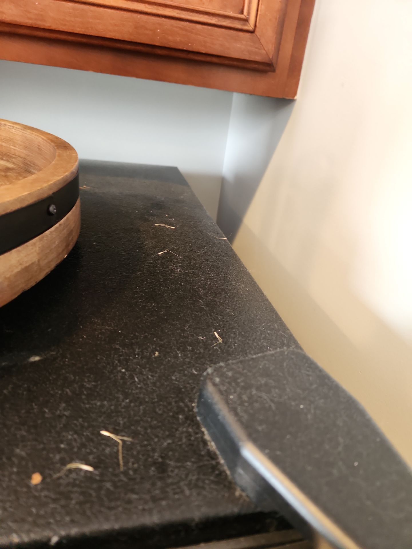 Project in Chicago by Xo Clean Services 