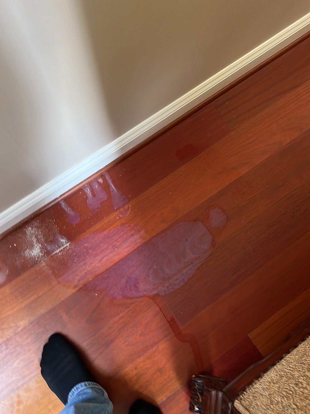 Project in Waterford Twp by EzDry Water Mitigation & Property Restoration