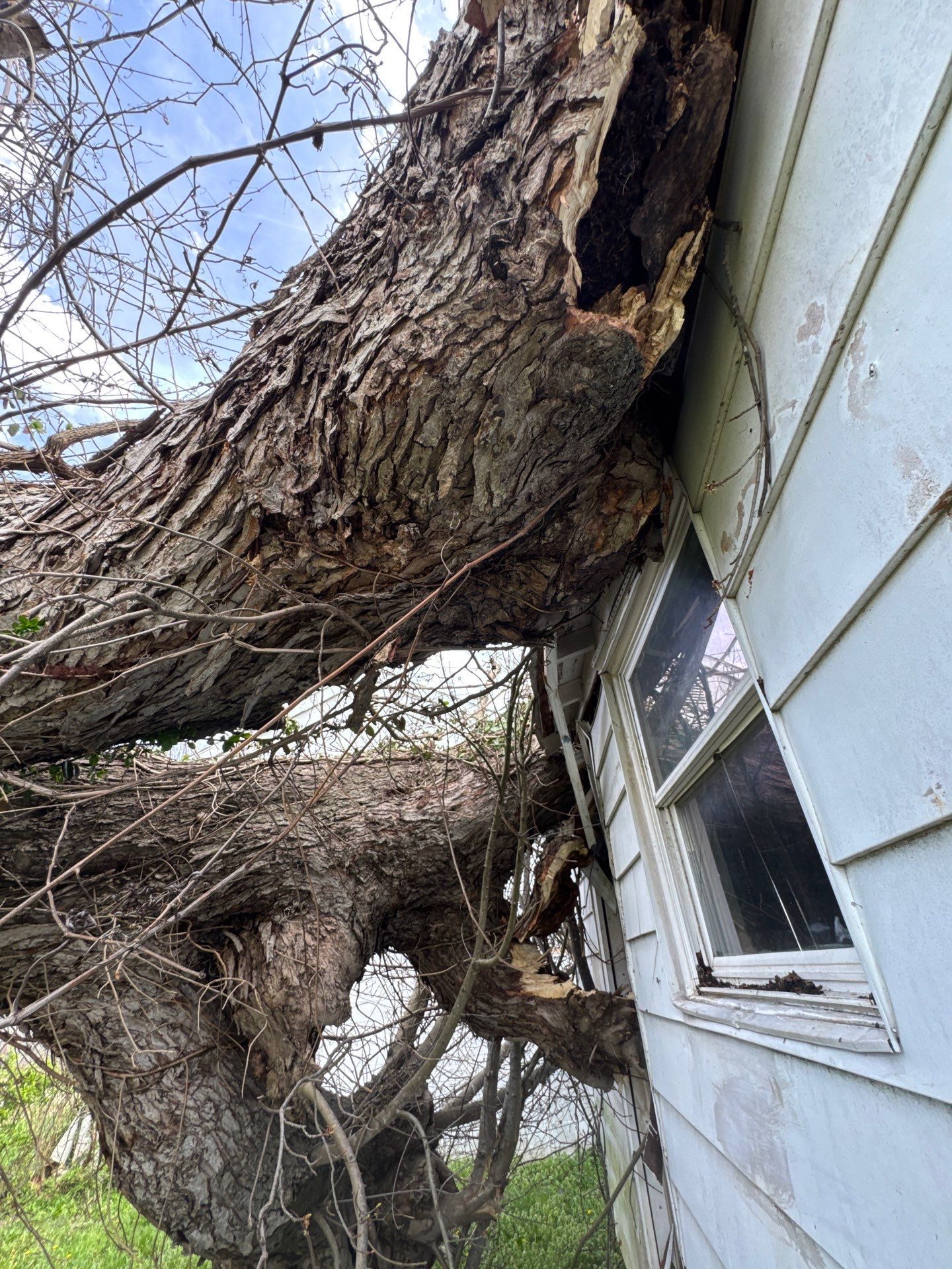 Project in Nitro, WV 	Rotator Crane Lifts Tree Off House | Nitro WV 	•	One Wrong Move Job | Rotator Crane Tree Removal 	•	Heavy Rescue Tree Job | Nitro WV 	•	Extreme Tree Removal Over Home | Nitro WV by Jones Empire LLC