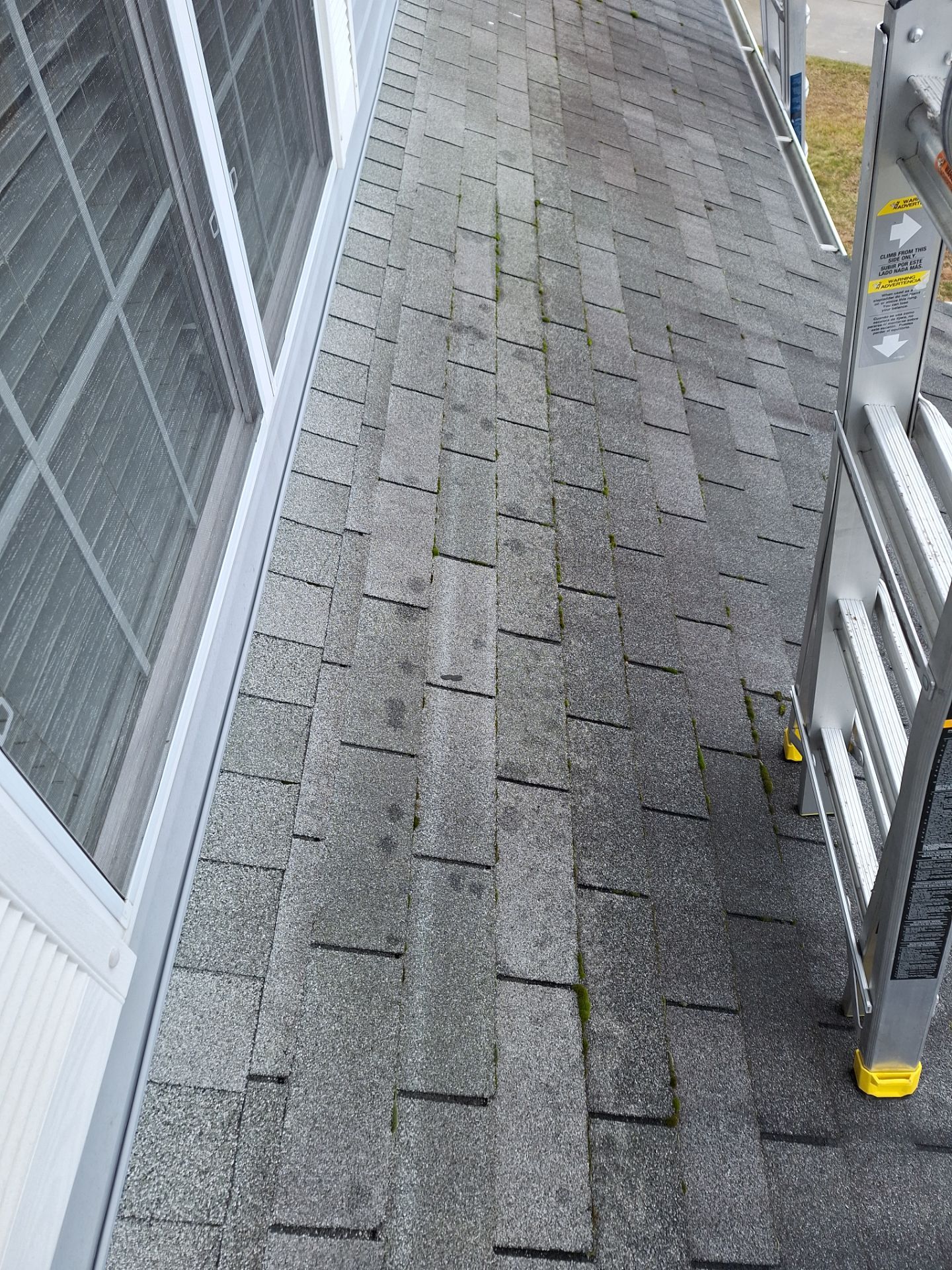 Pewter Gray Shingles by Reimagine Roofing