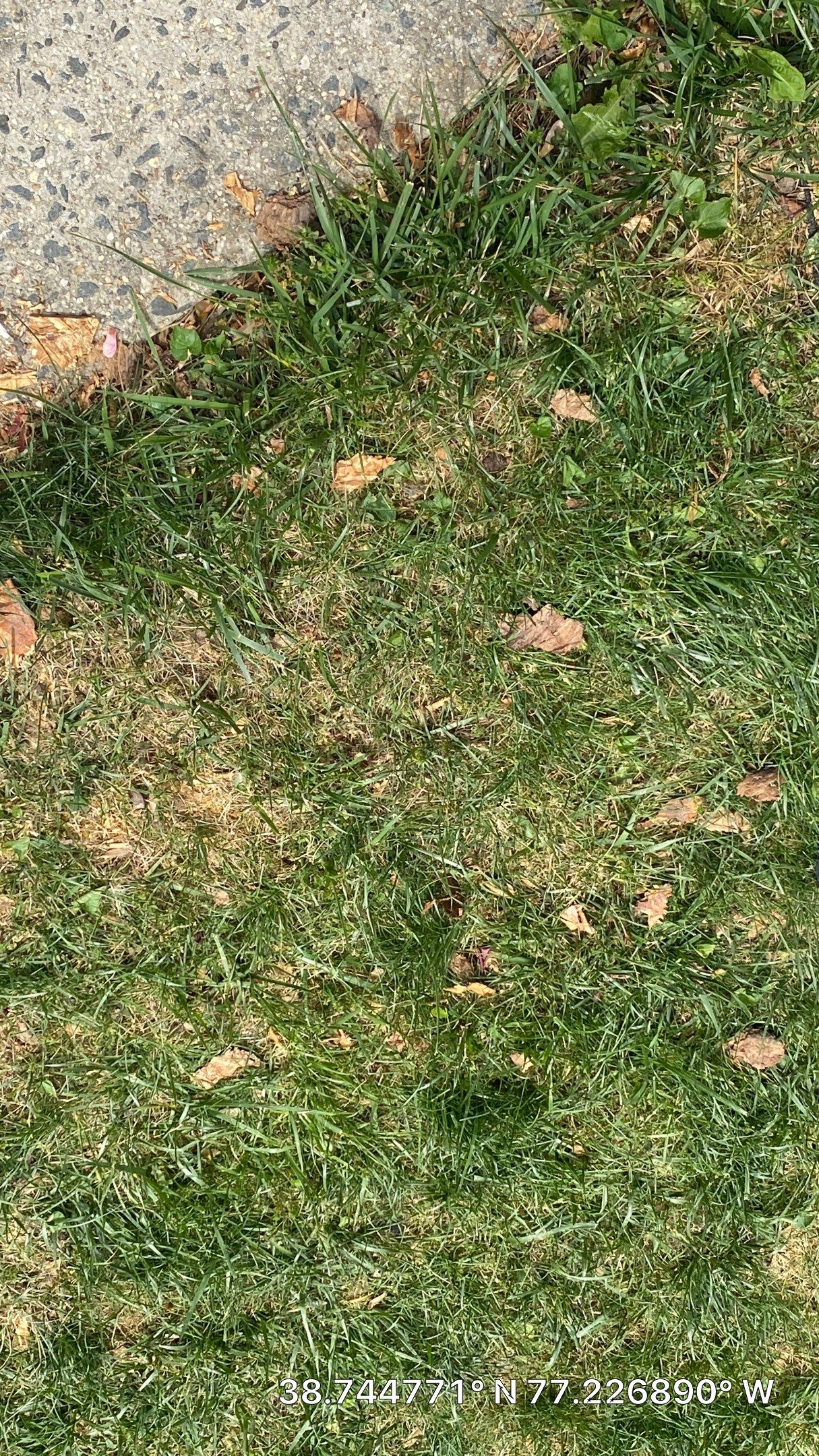 Springfield: CertainTeed Landmark Pro Designer Shingles in Max Def Charcoal Black by RM Banning, Inc.