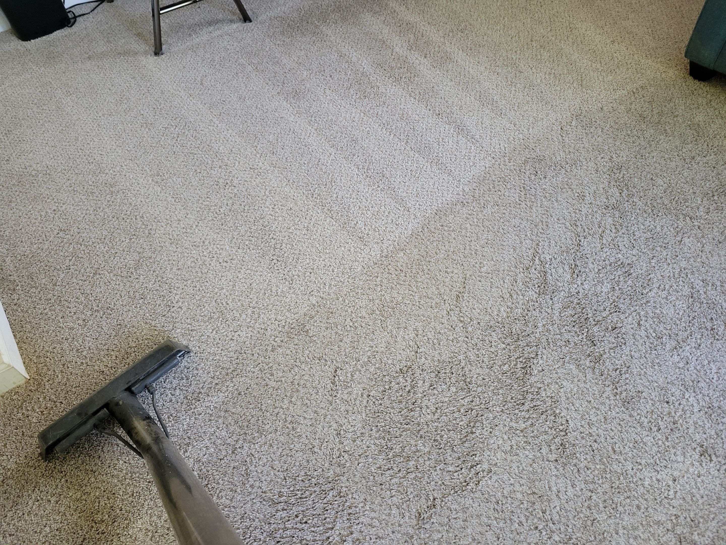 Pet Stain Treatment and Carpet Cleaning by Ardent Carpet Restore LLC