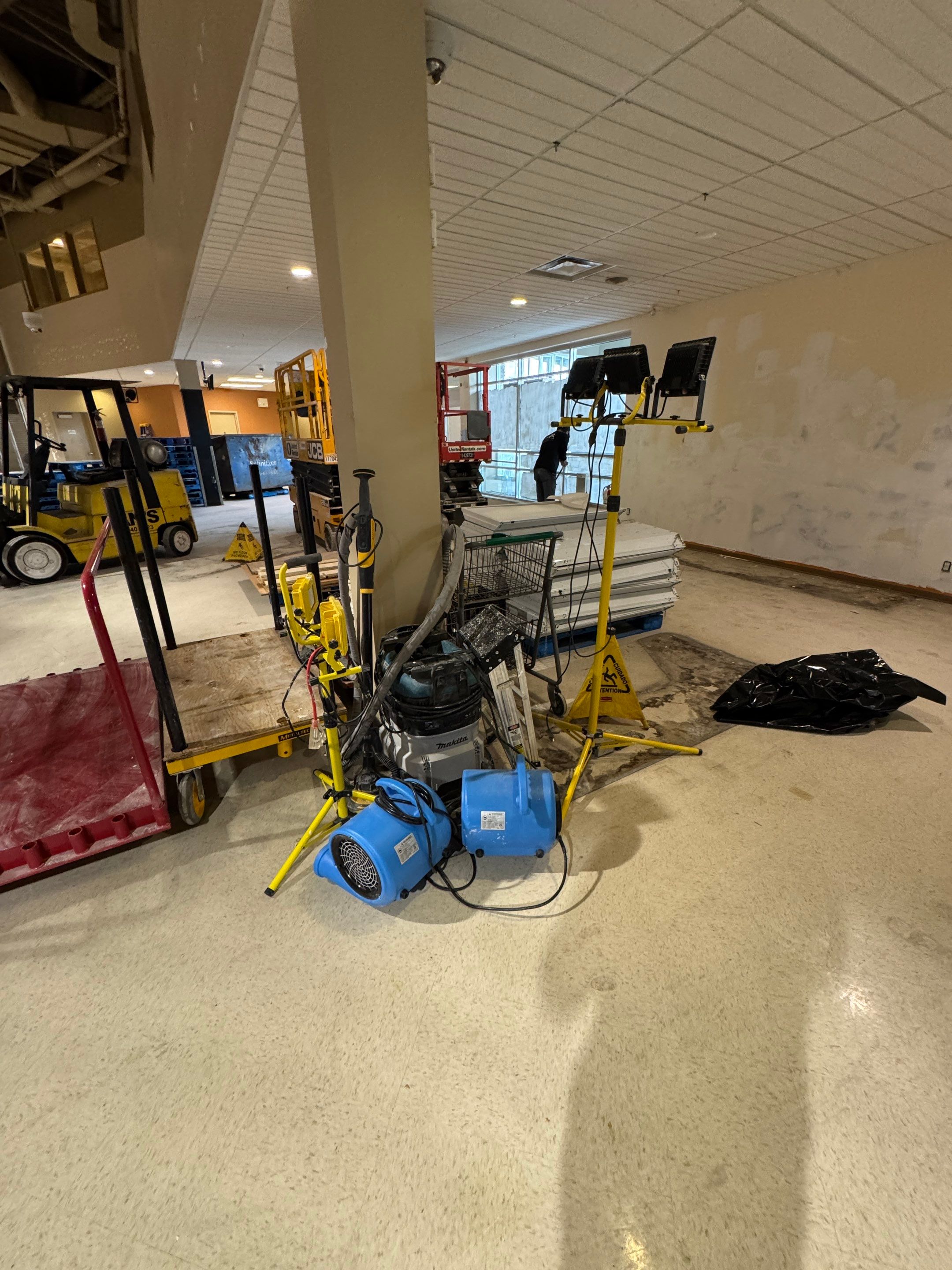 Commercial Prime & Paint Project by YVR Construction Group