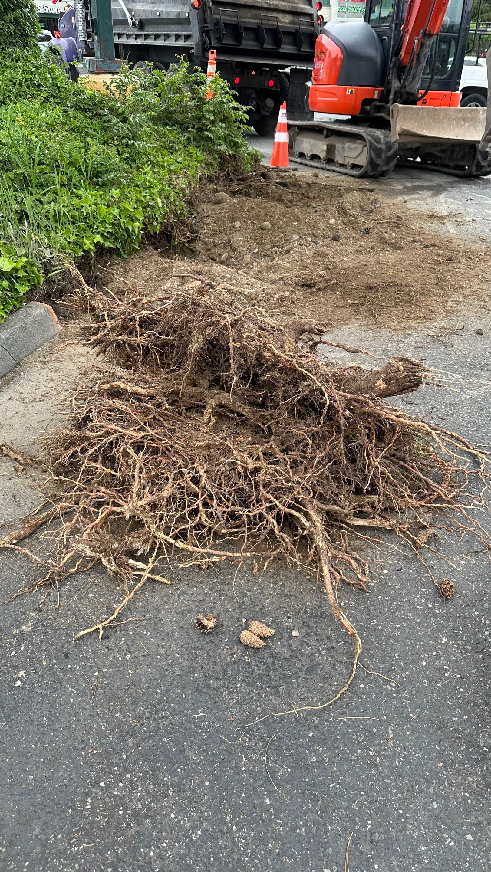 Amanda | Concrete Curb by Jireh Asphalt & Concrete Inc 