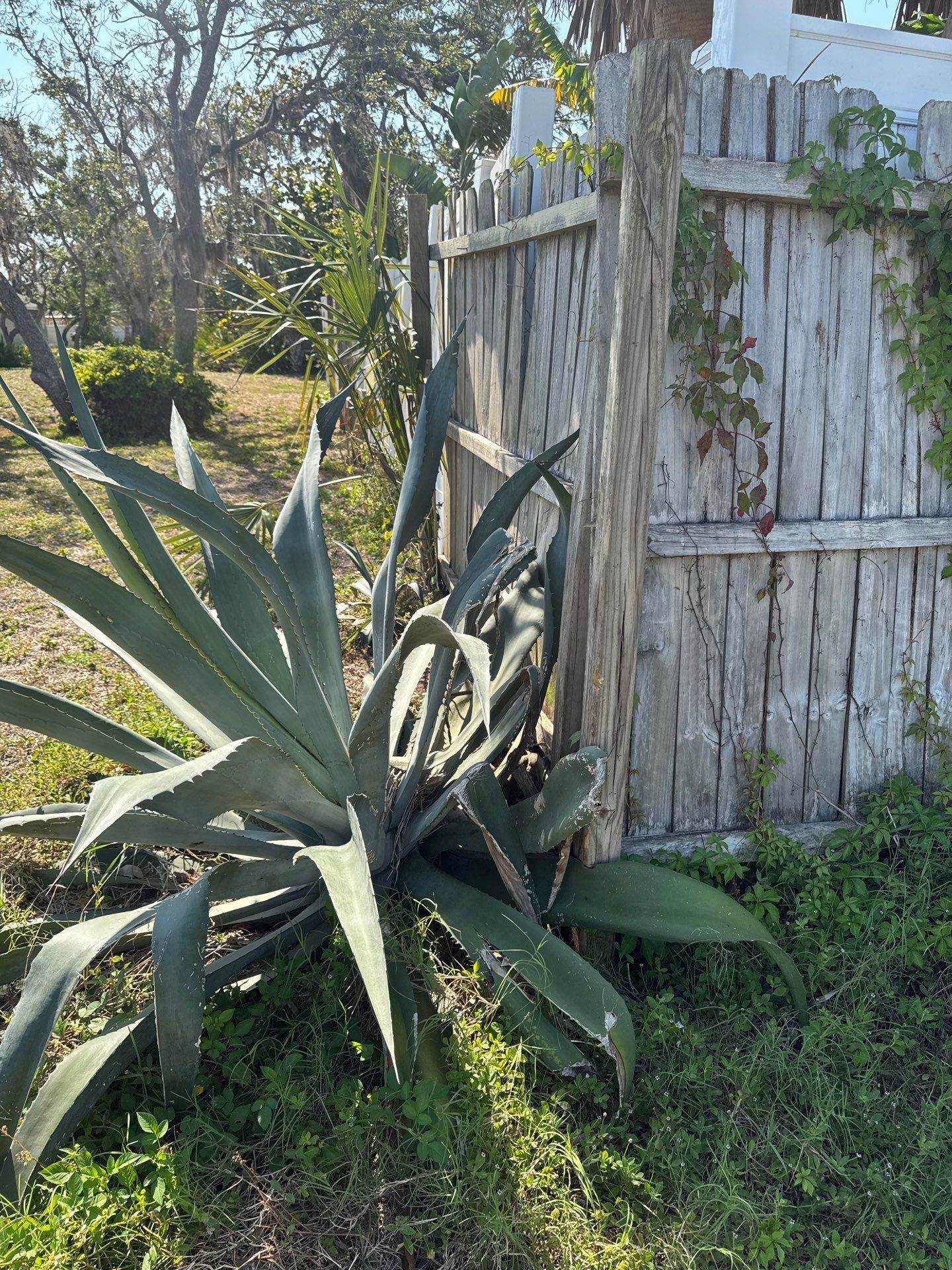 1052 Graham Rd  by H&Y Fence