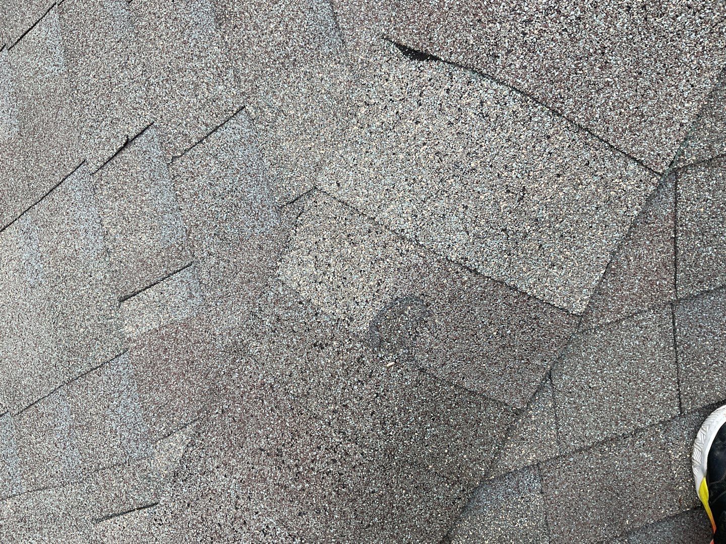 Install new shingles and new skylights  by Alpha Design Services