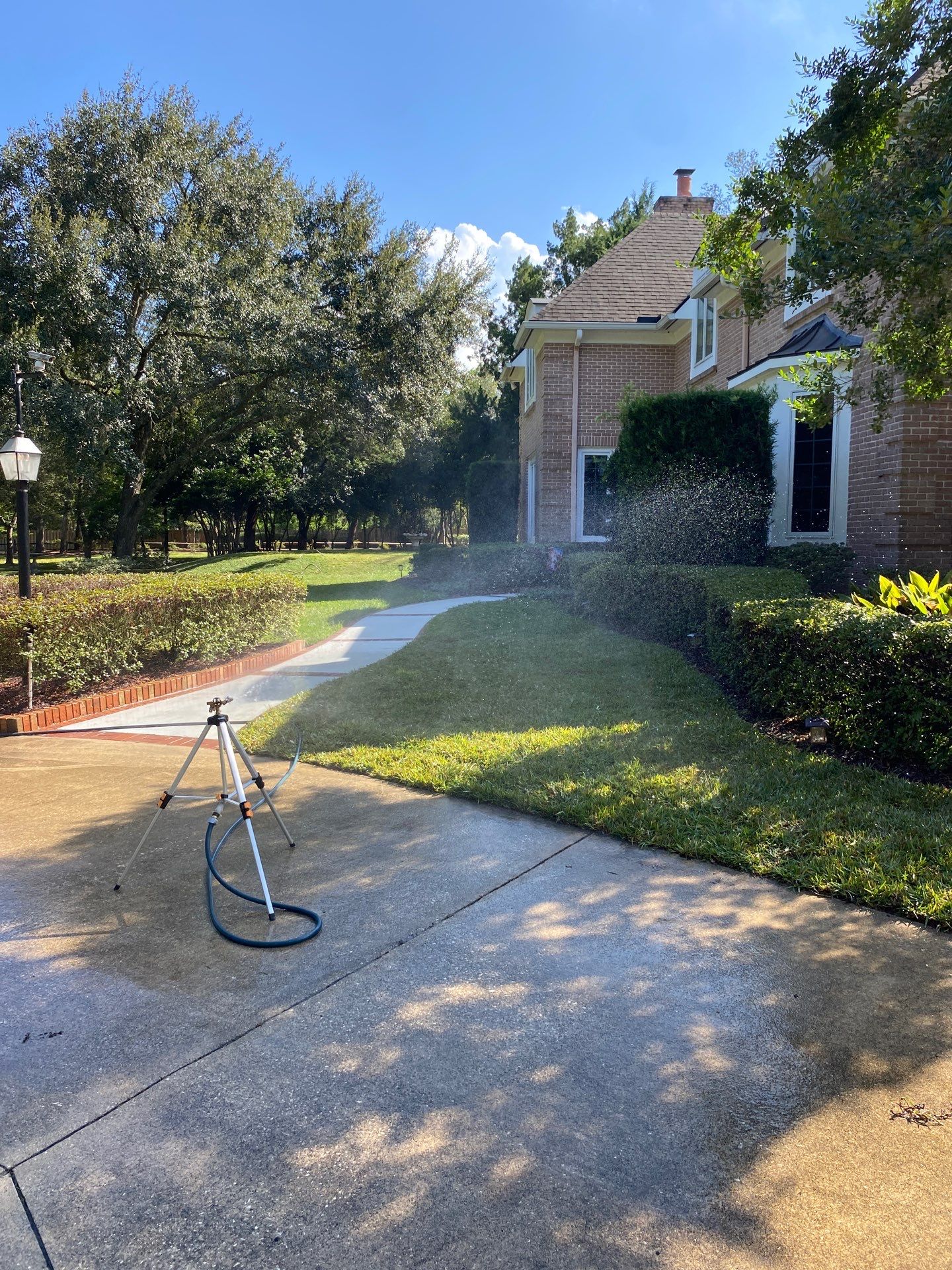 Deerwood Resident | Sod Removal & Install by ProGreen Services