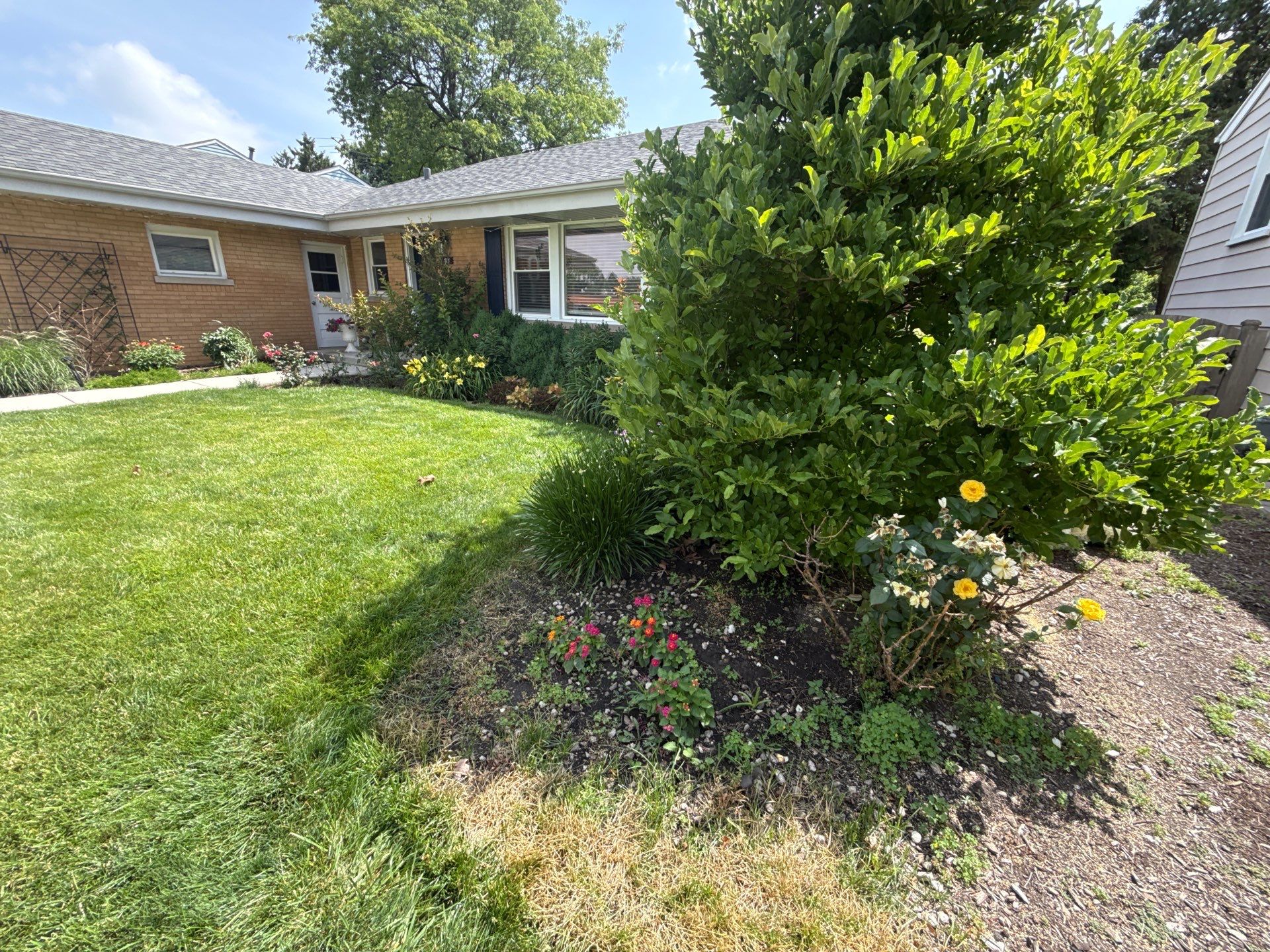 Cheris B. - Mount Prospect, IL by A&N 
