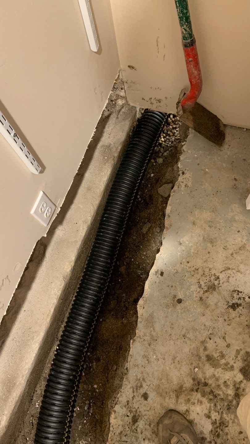 Peace of Mind for Molly’s New Home by Waterproofing Northeast