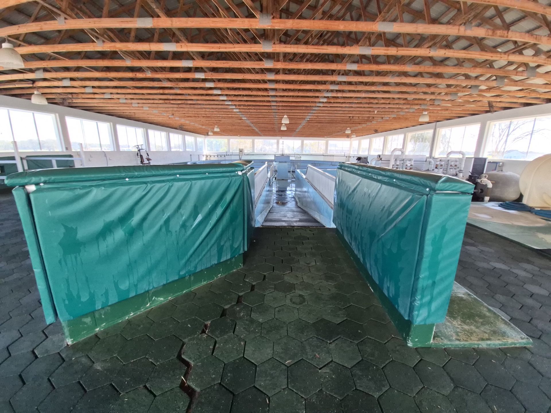 Horse Walker Cleaning Project by Infinite Exteriors LLC
