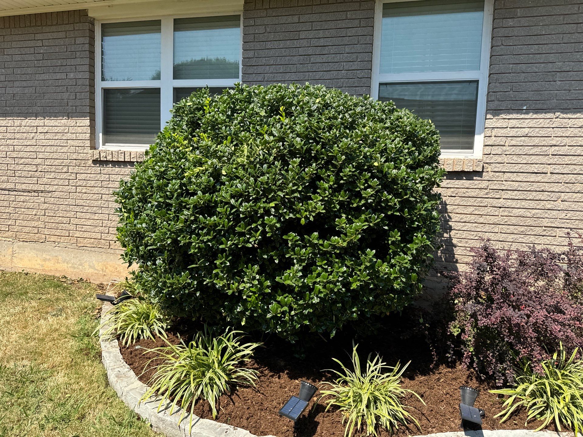 Landscape using Crepe Myrtle Plant by Clays Services Inc
