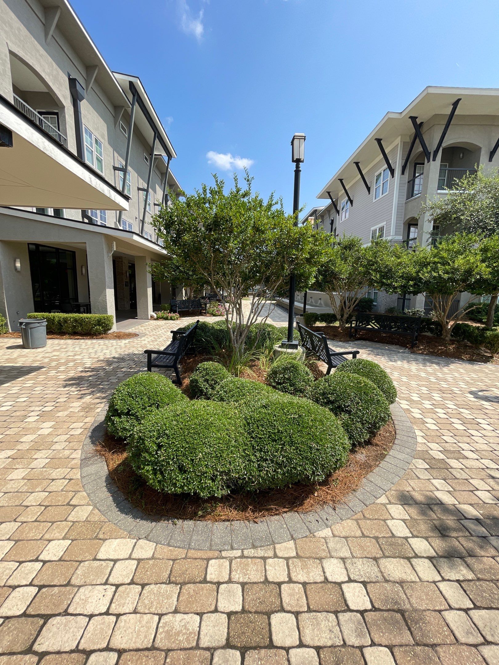 COMMERCIAL LAWN MAINTENANCE: HEDGE TRIM / BED CLEAN by CutScape, LLC.