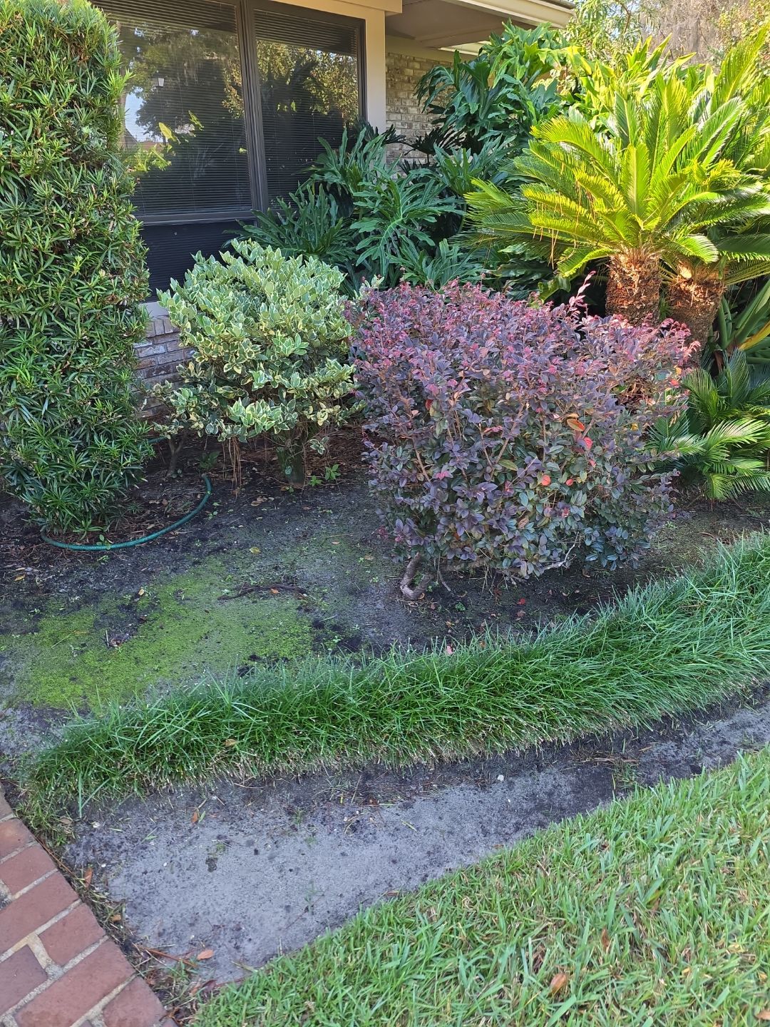 Deerwood Resident | Freshen Up Project by ProGreen Services