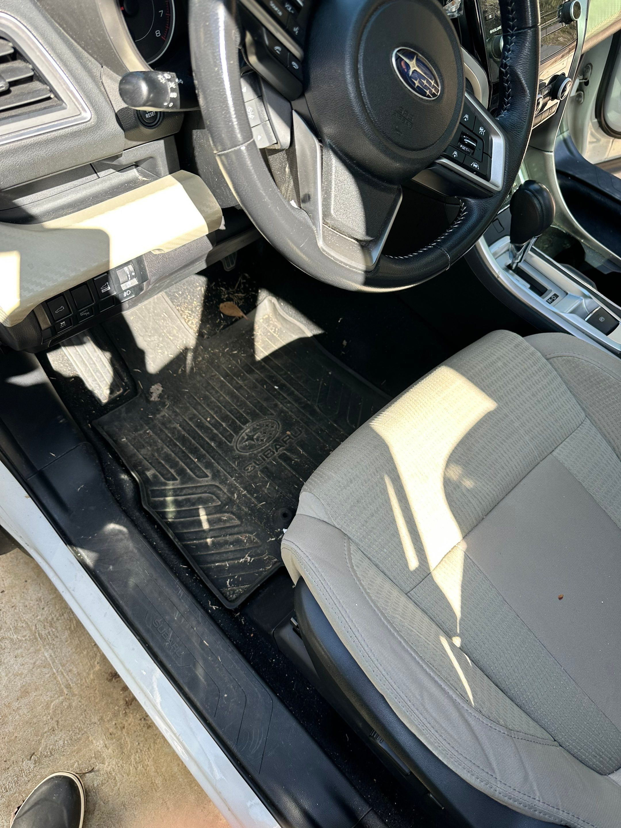 2019 Ascent White by Detailed By Devin