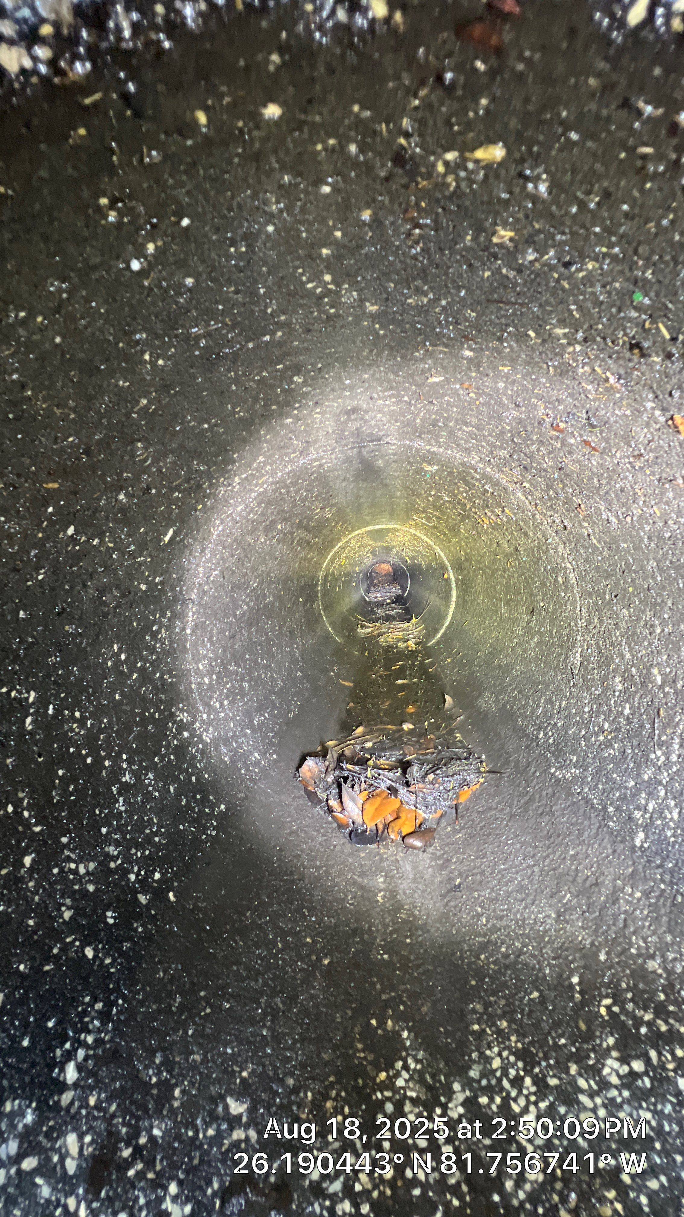 Naples Community Drainage Problems by APS Power & Water