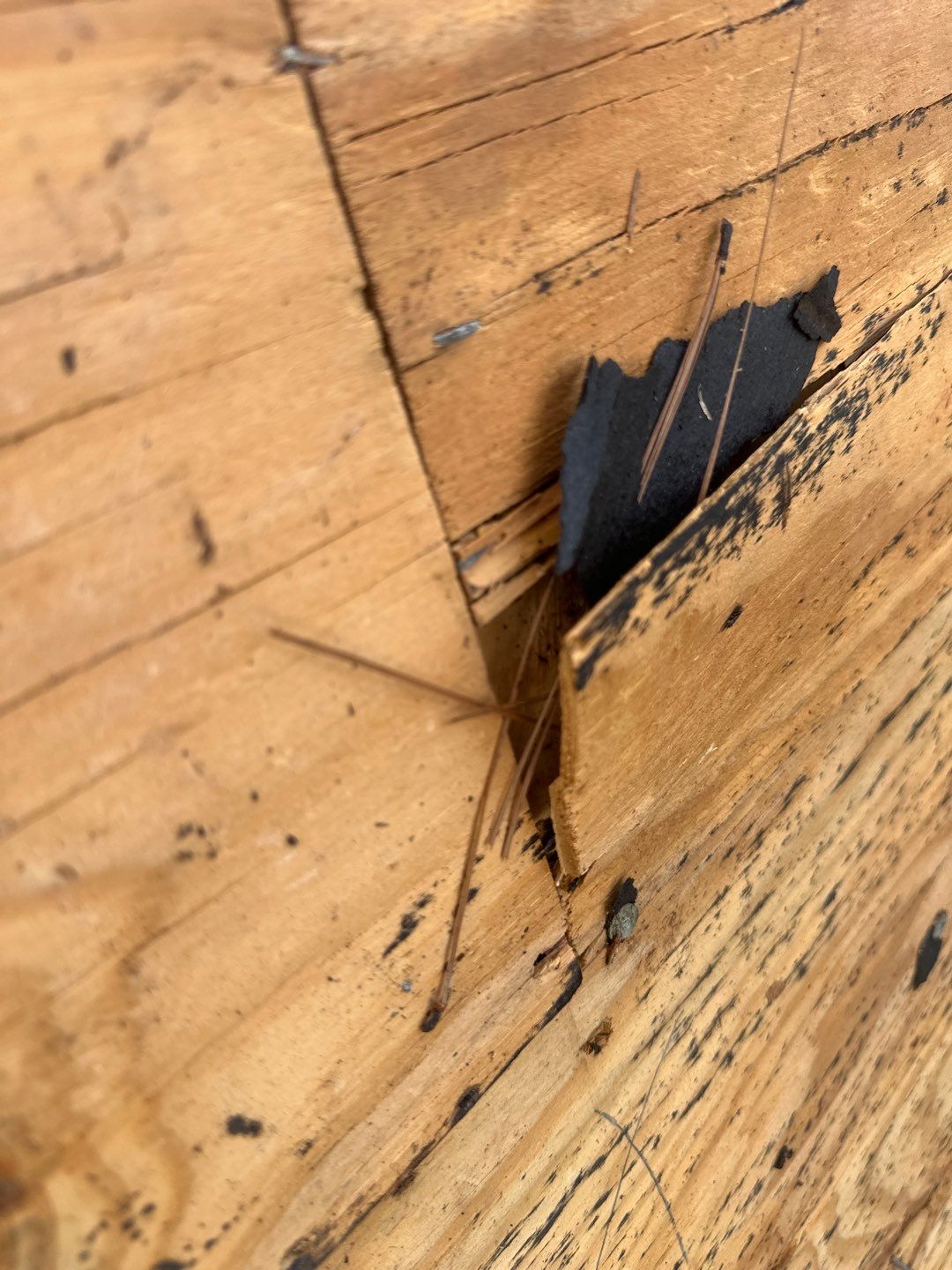 Roof Replacement Houston by Roof Repair Services LLC