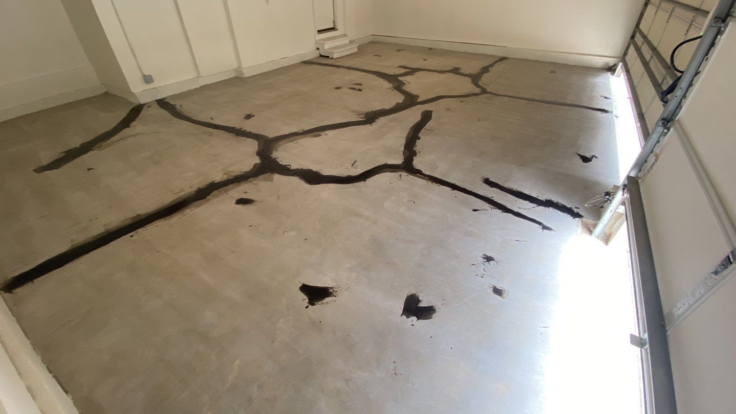 Garage using Domino  by Select Painting, Coatings & Garage Cabinets