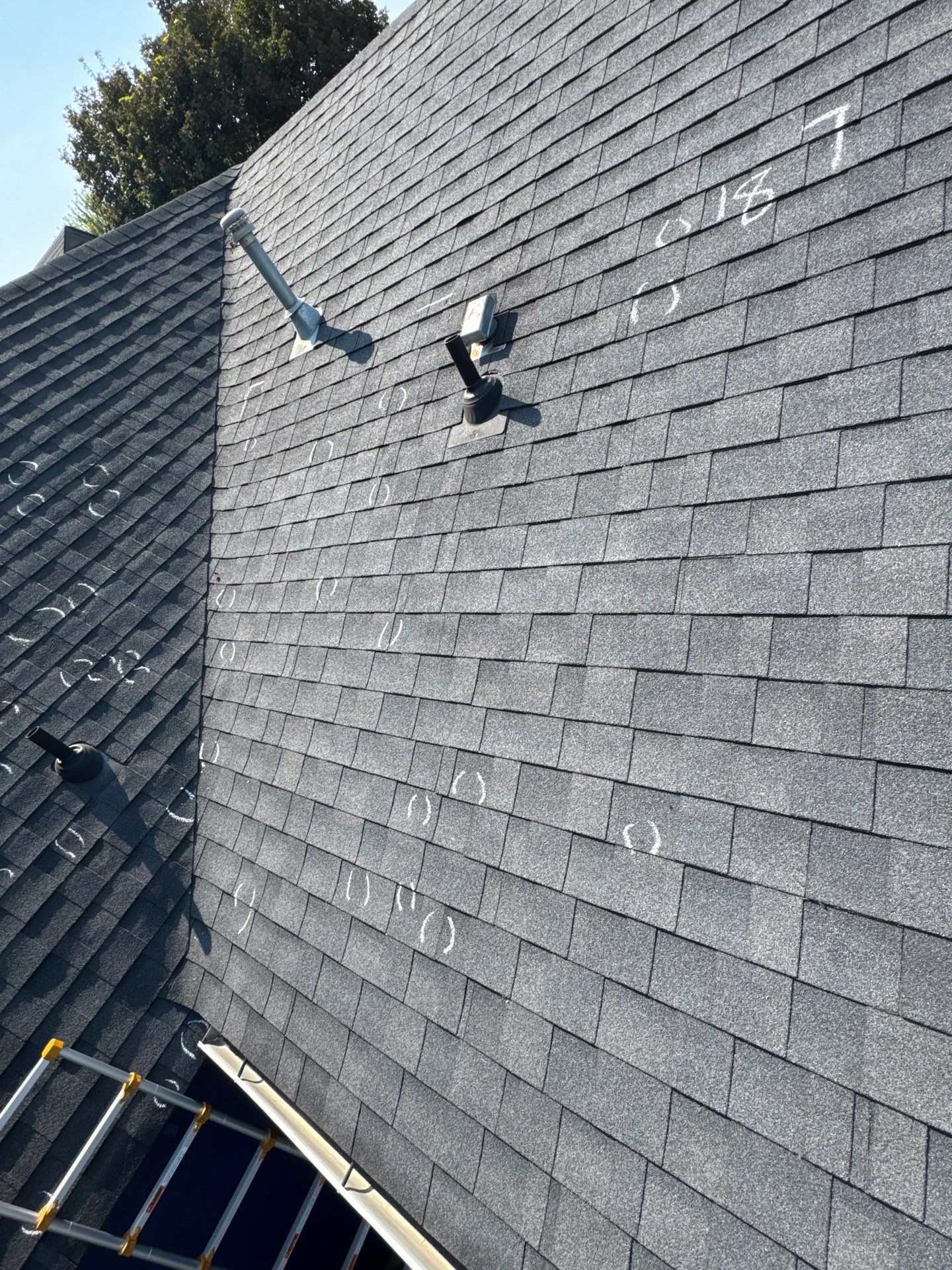 Complete Residential Roof Replacement and Sheathing Repair in Boise by Olive Roofing