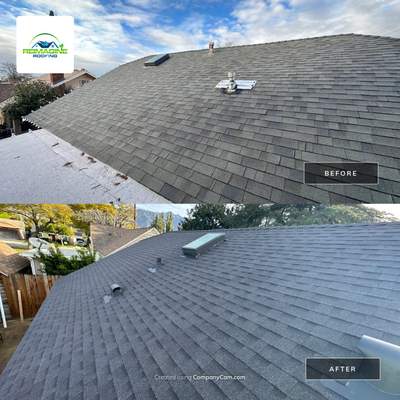 Pewter Gray Shingles