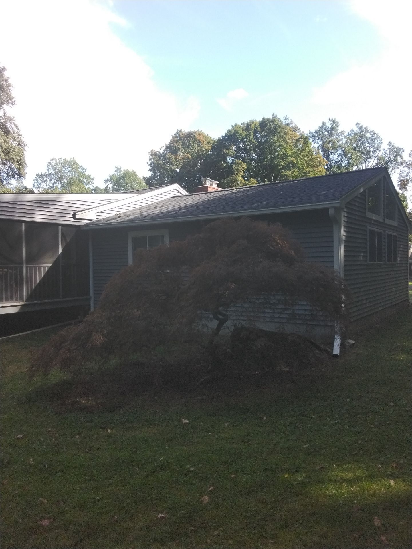 RainTech  by DiGiorgi Roofing and Siding Inc