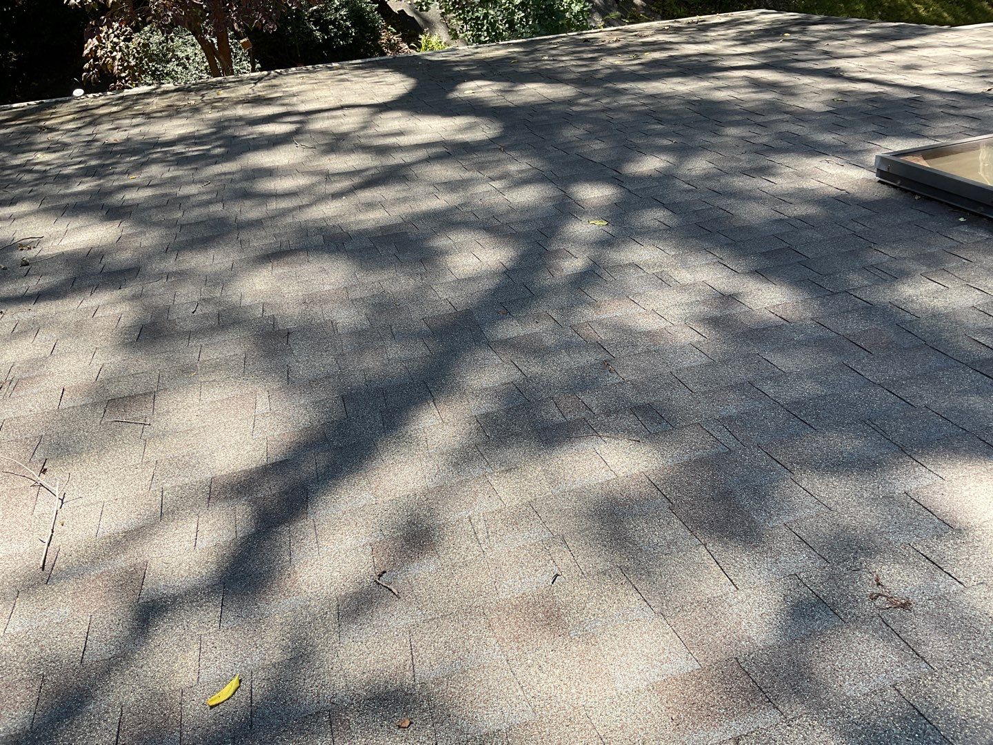 Install new shingles and new skylights  by Alpha Design Services