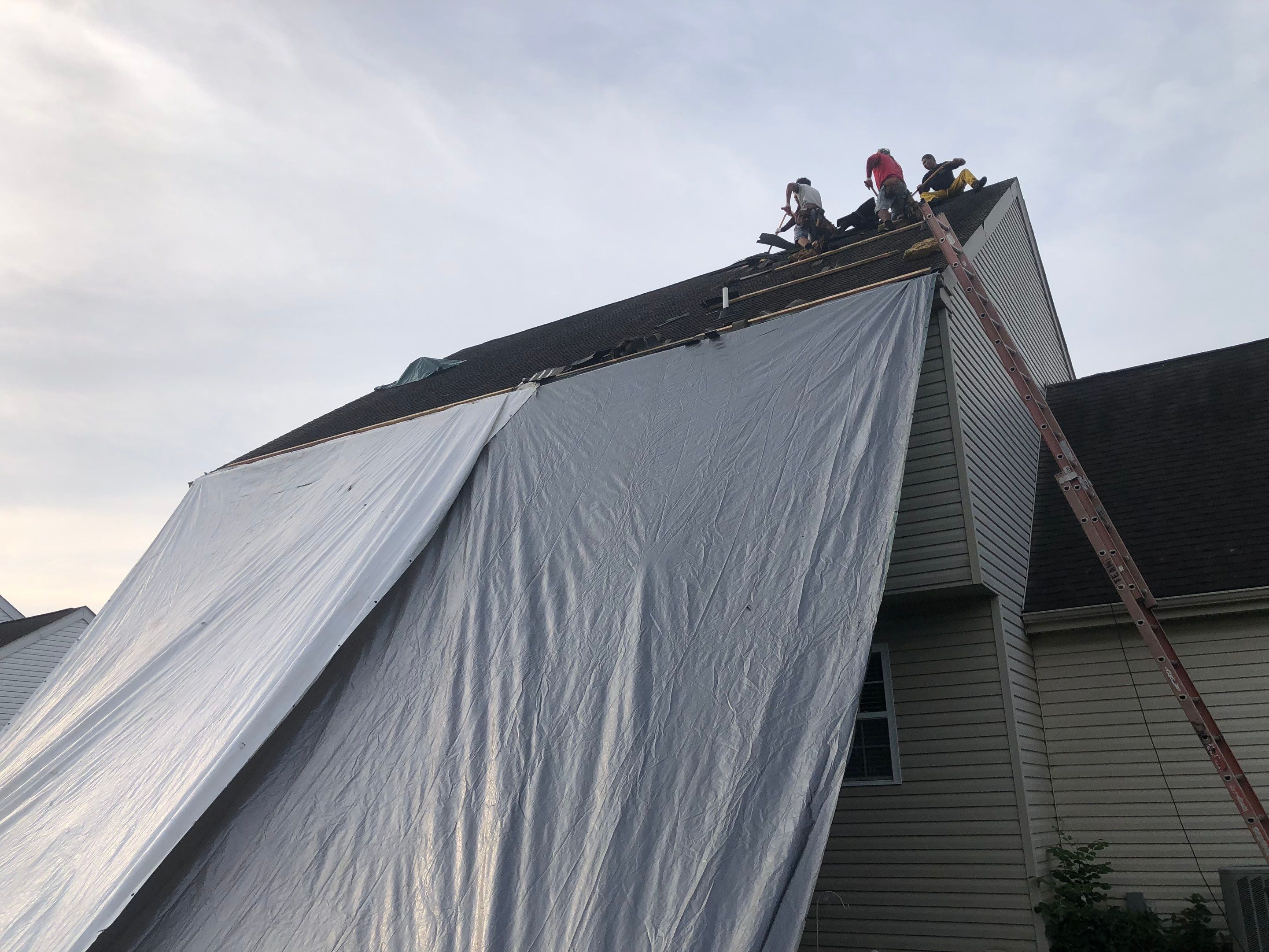 Estate Gray Shingles by Reimagine Roofing