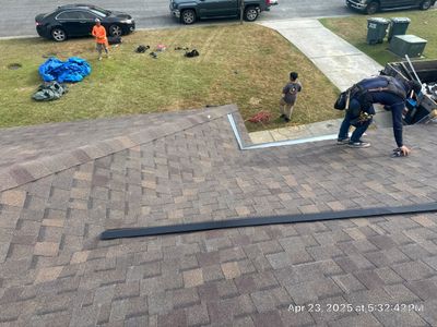 Project in Savannah