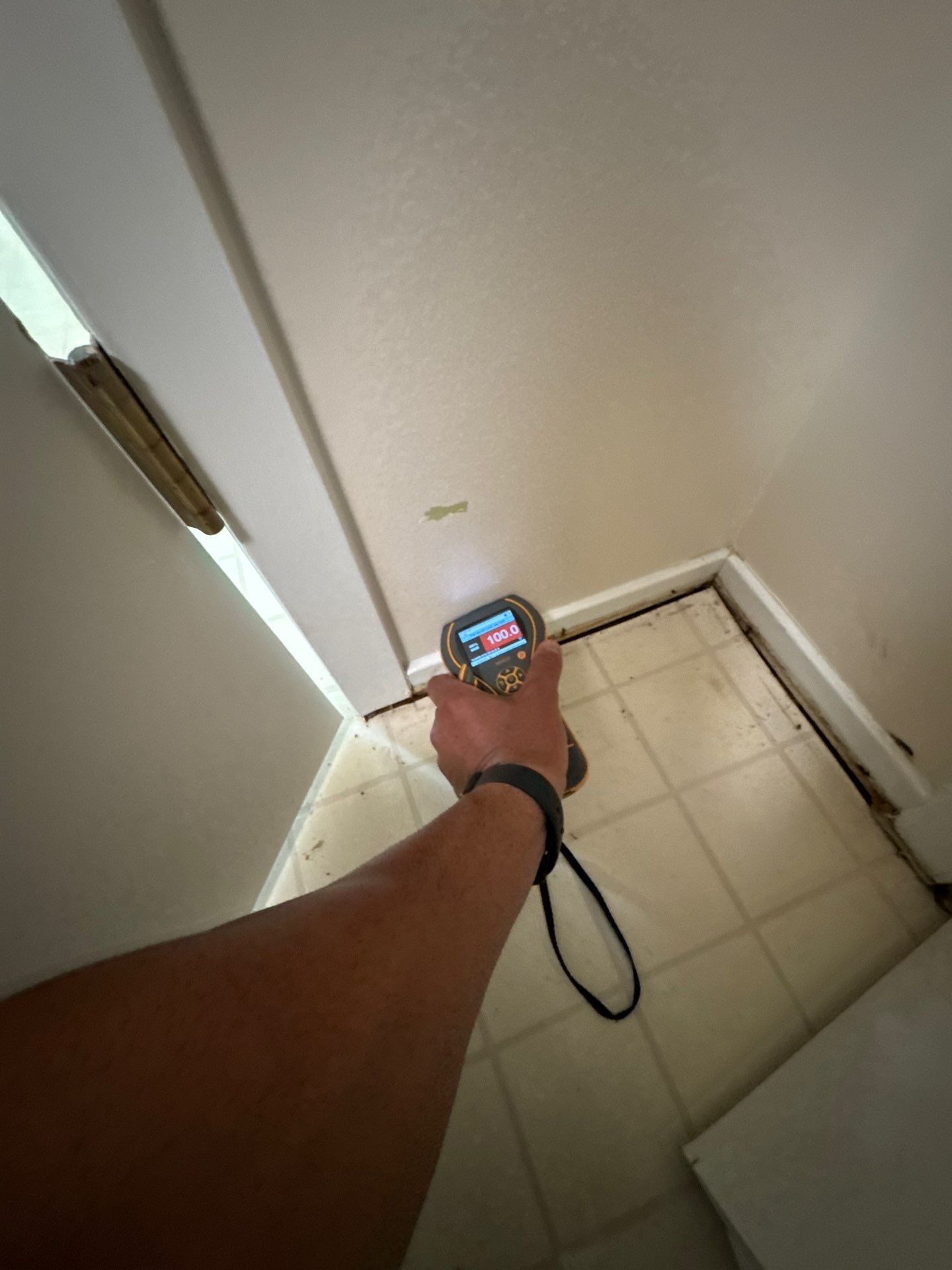 Project in Commerce Twp by EzDry Water Mitigation & Property Restoration