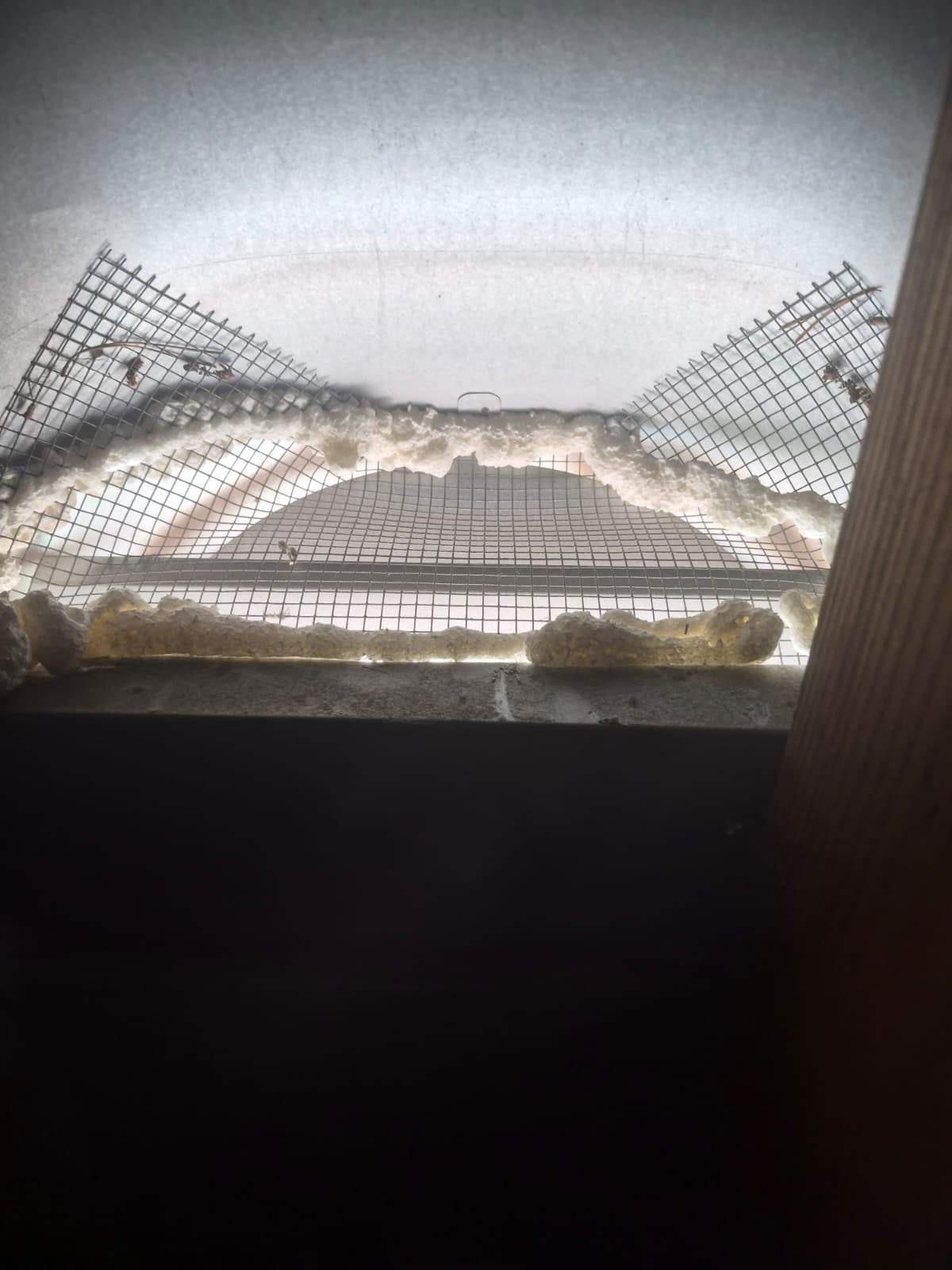 Project in Los Angeles by Advanced Attic Solutions