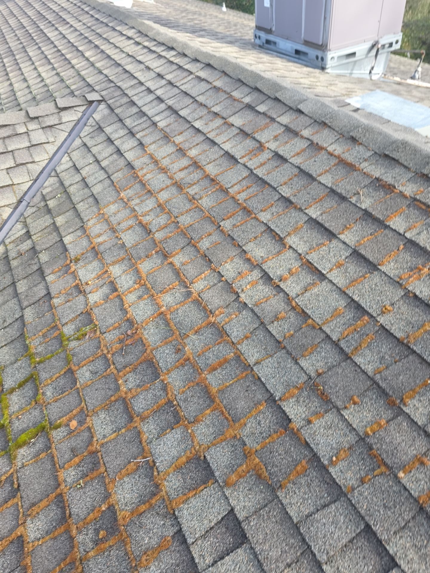 Roof Rejuvenation using Roof Maxx Treatment by Roof Maxx of Folsom